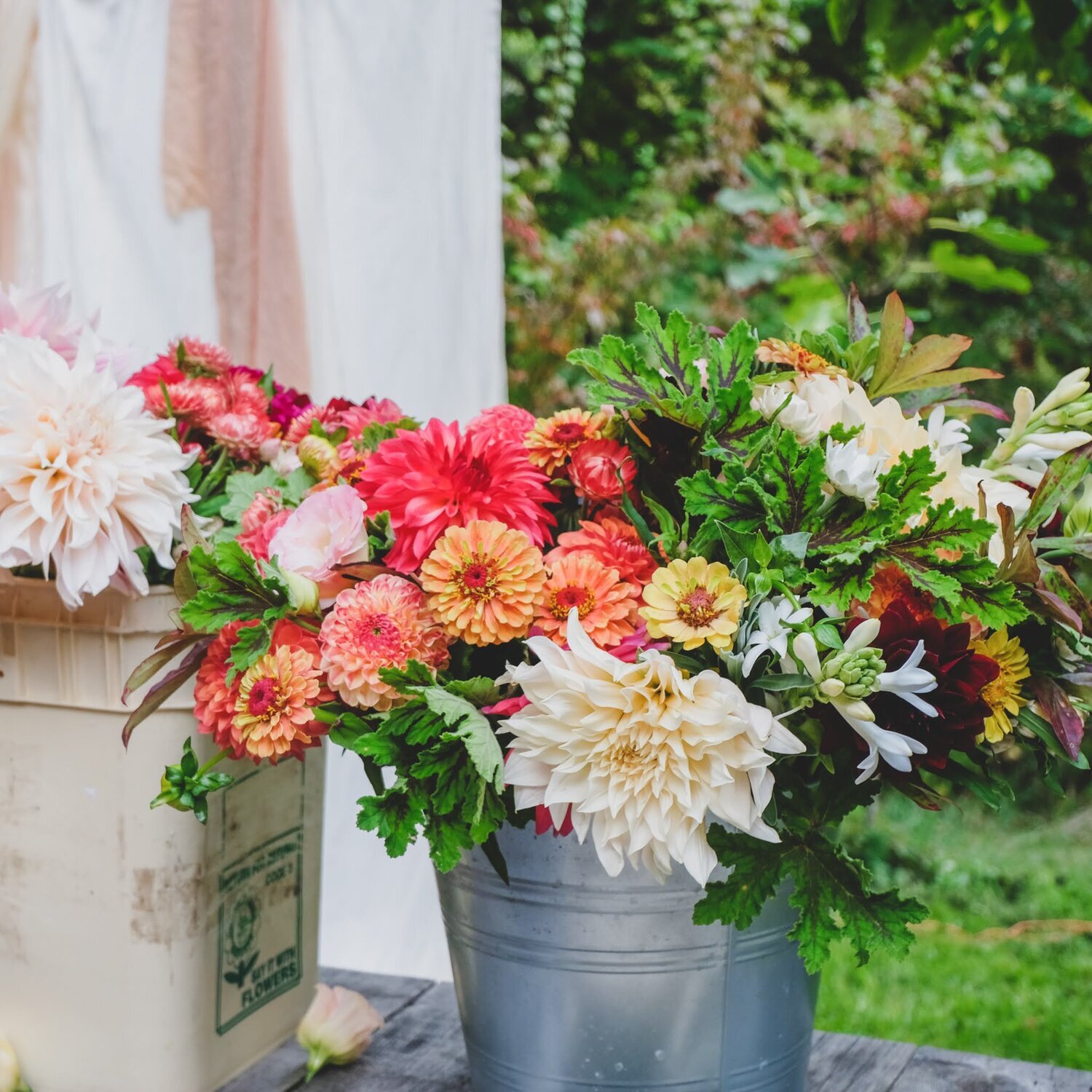 24CB9DDB-64A3-4E14-954F-B4E7EAE160BA