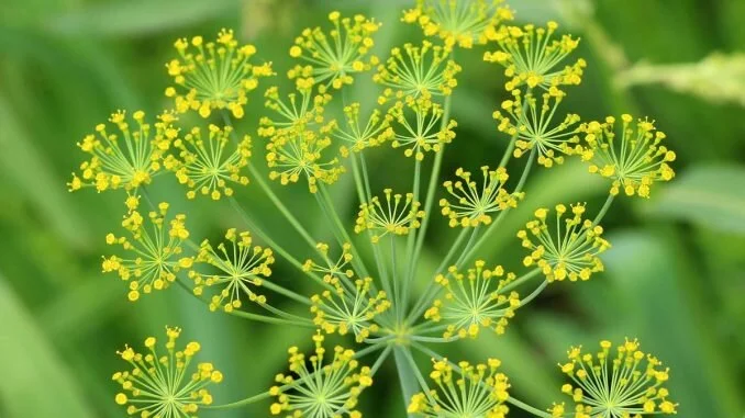 AB3526CF-6B43-4F75-8670-F3FE8A64756D