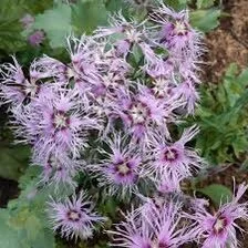 8BA500FE-F196-43B5-8C87-16598E365E55