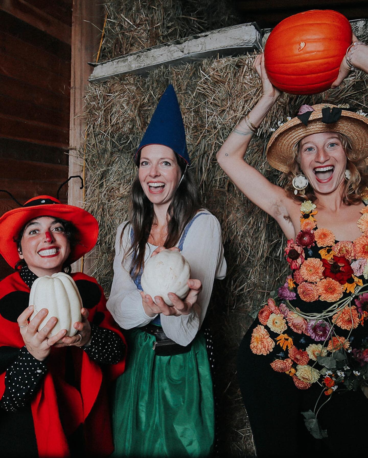 A lady bug, a garden gnome, and the flower garden herself!  Plus an epic glowing flower orb&hellip; filled with every last beautiful bloom from the farm.  A great way to celebrate the harvest season and a nice warm send off into the dark times. 

📸 