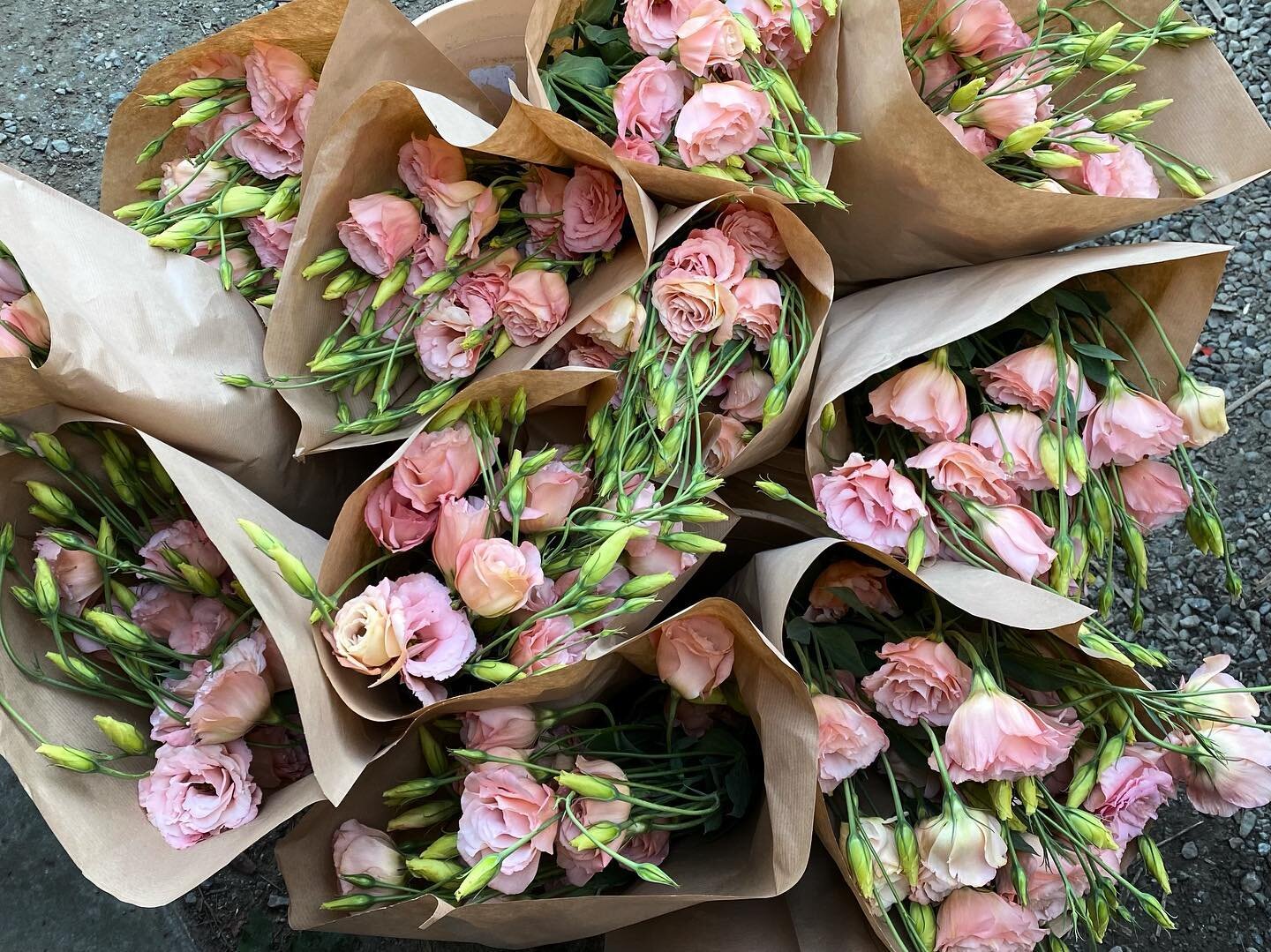 Stellar apricot lisianthus grown by Carla and available @ufgca auction this Tuesday.  It might be the prettiest thing we have shipped this year, which is why it&rsquo;s getting a permanent spot on the feed.  A couple more weeks of wholesale flowers a