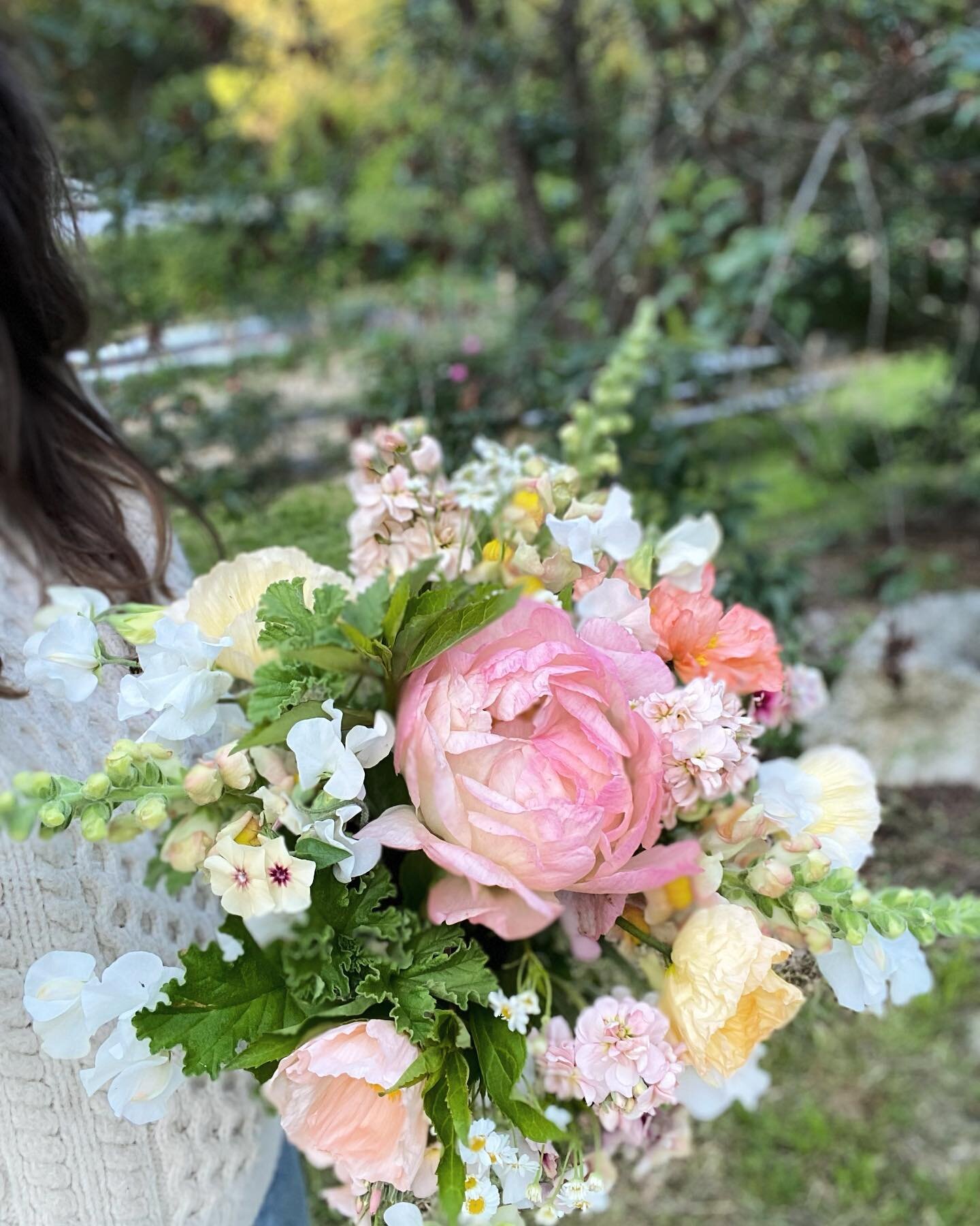 Making flowers for friends is just the best.
All from the garden on June 14:
Coral sunset peony
Apricot snapdragon
White sweet pea
Cherry caramel phlox
Apricot stock
Feverfew
Scented geranium foliage
Forsythia foliage
Peach Icelandic poppies
#flowerf