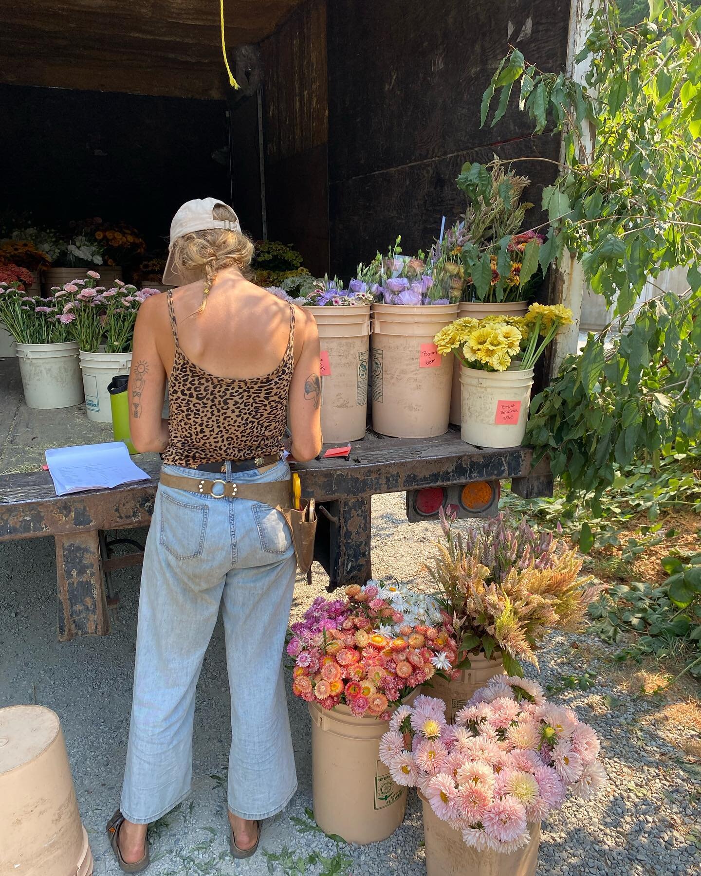 No truck drama this week!
We are making two runs to Vancouver to accommodate all our blooms - find our flowers on Tuesday AND Thursday @ufgca 

A big week of picking for  @buttercup.sandwich and @joy_warrior_ 🤗