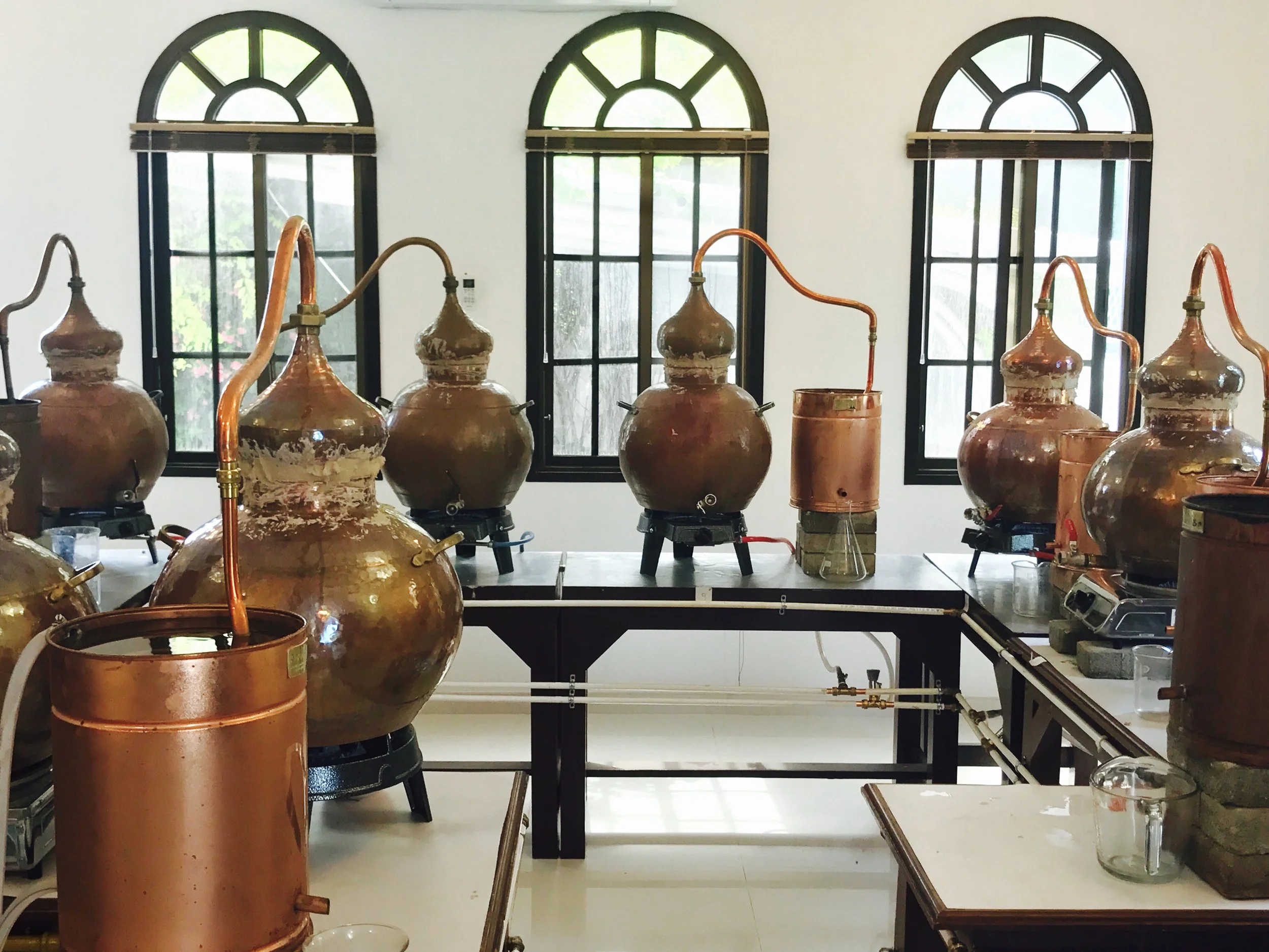 stills.jpg