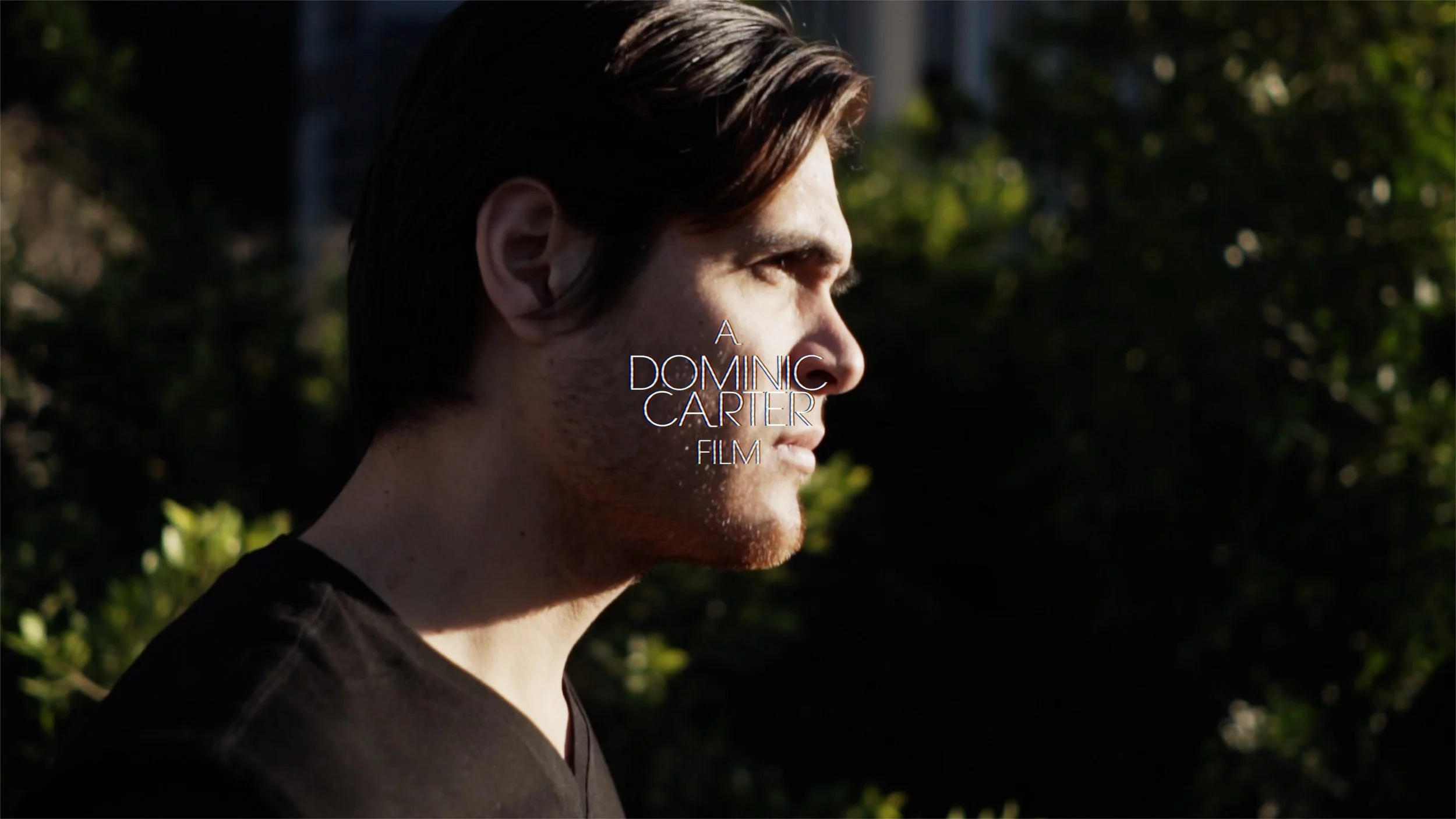 Banfy - A Creative Visual by Dominic Carter (Copy)