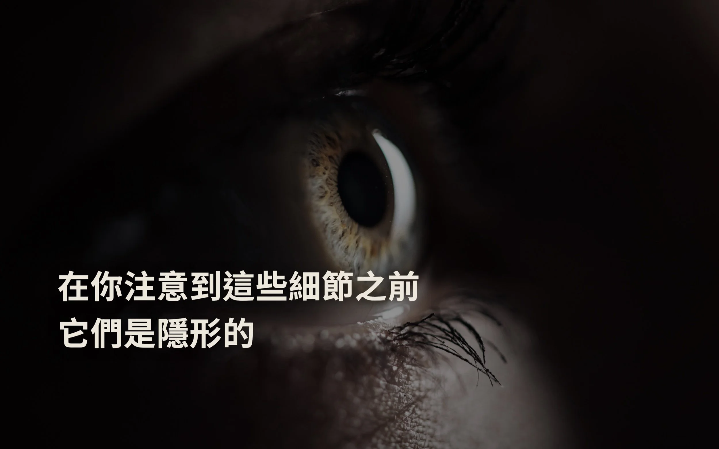 AI 永遠無法取代人的真正原因？無法計算的現實細節密度