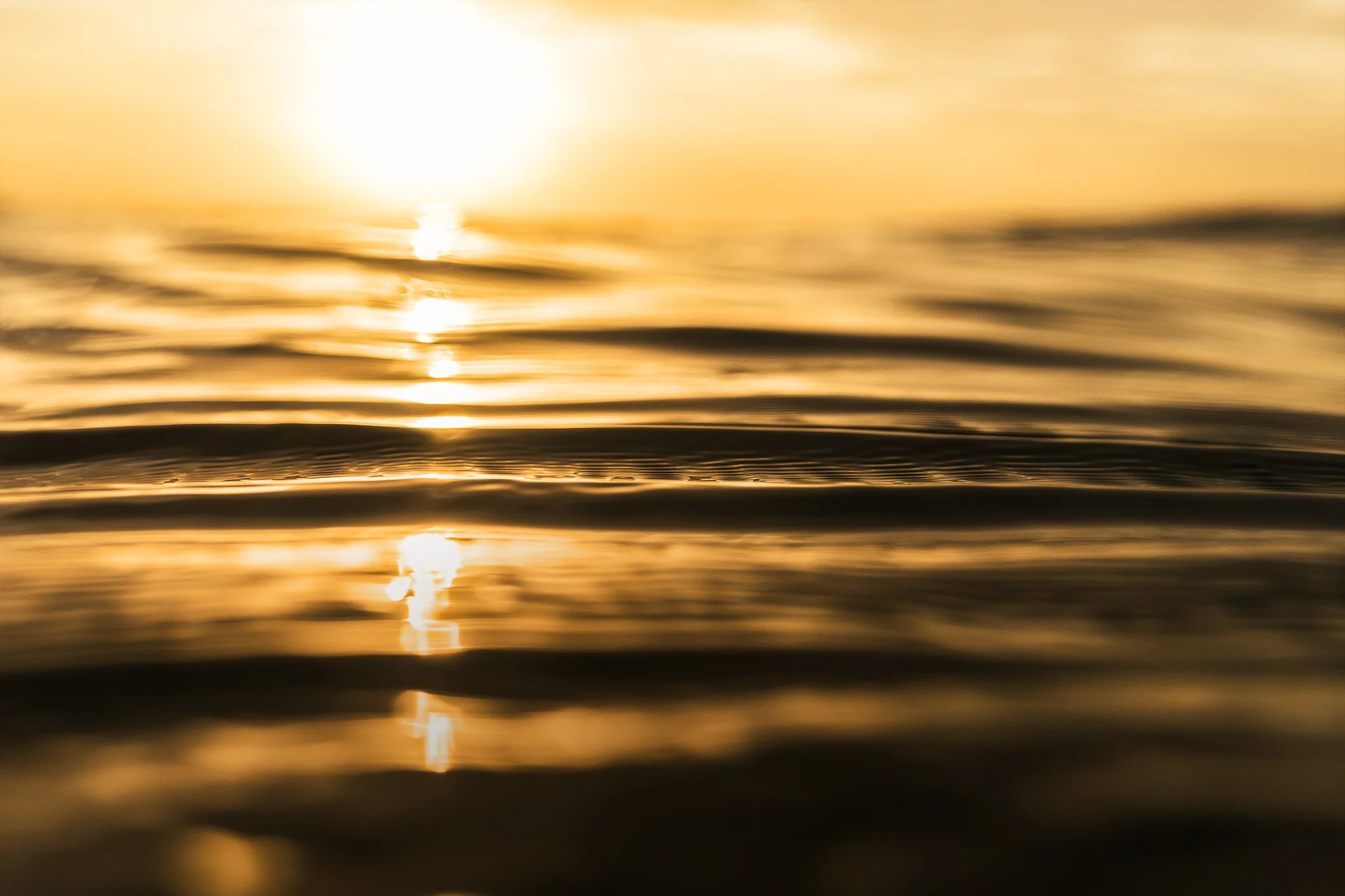 Ripples Final-Lr.jpg