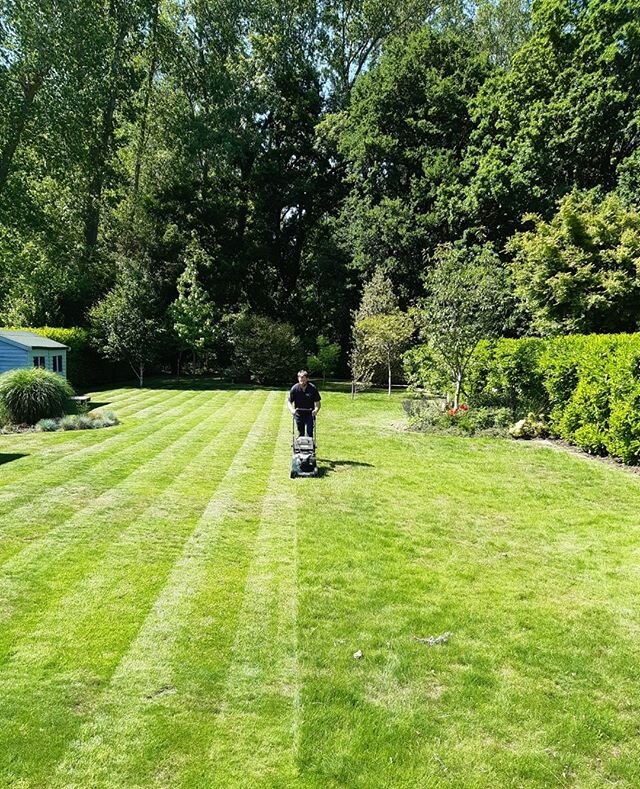 Lawn Lines // 🌱⁠
⁠
#gardenmaintenance #lawn #gardens #londongardens #familygarden #largegarden #beautiful #sunshine #garden #lawnline