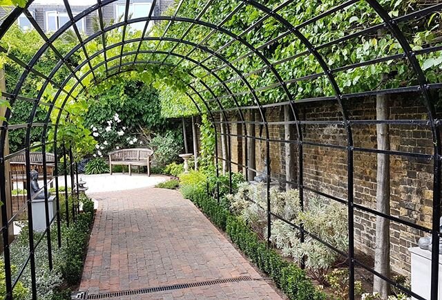 Simple // nothing like a smartly lined secret garden. 
#gardenmaintenance #secretgarden #gardening #southwestlondon #london #maintenance #pruning #fulhamgardener #fulhamgardens
