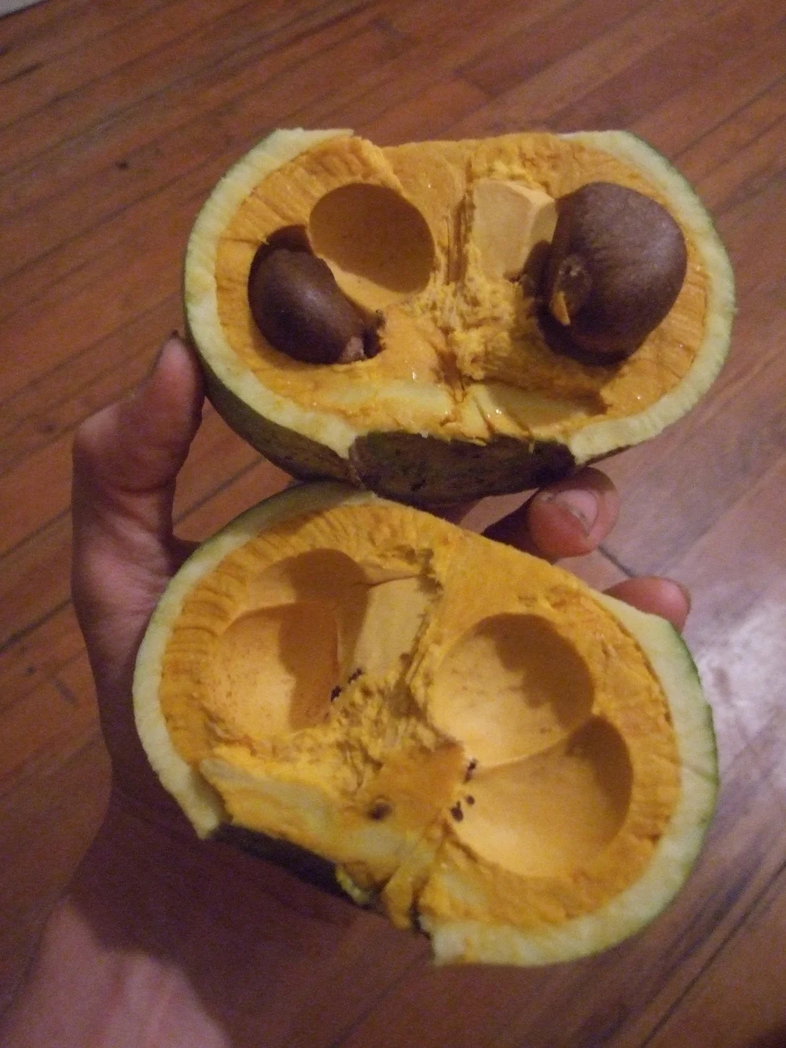 Gustavia superba fruit.jpg