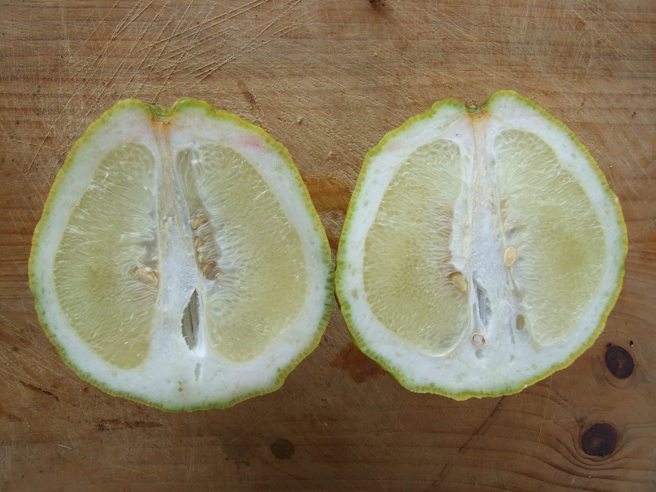 large-citrus-cut.jpg