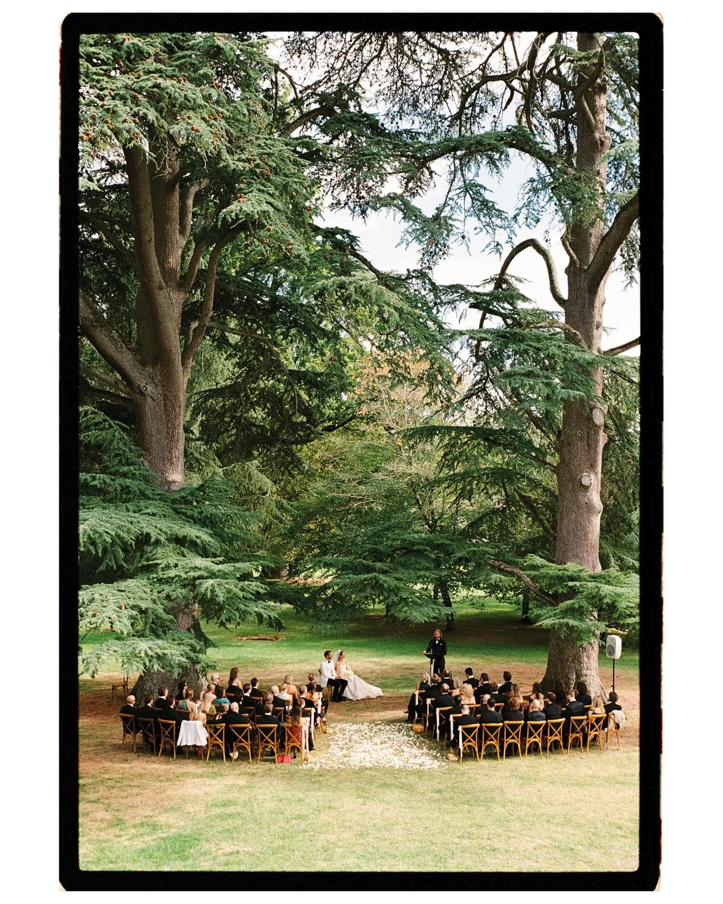 Orsi &amp; Maarten&rsquo;s D R E A M wedding last September in the South of France at @chateaunaudou,
and a dream collab of @mmagnolia.studio ⟡ @moonlit_weddings 

Analog shots: @moonlit_weddings 
Post-production: @mmagnolia.studio 
Lab &amp; scan: @