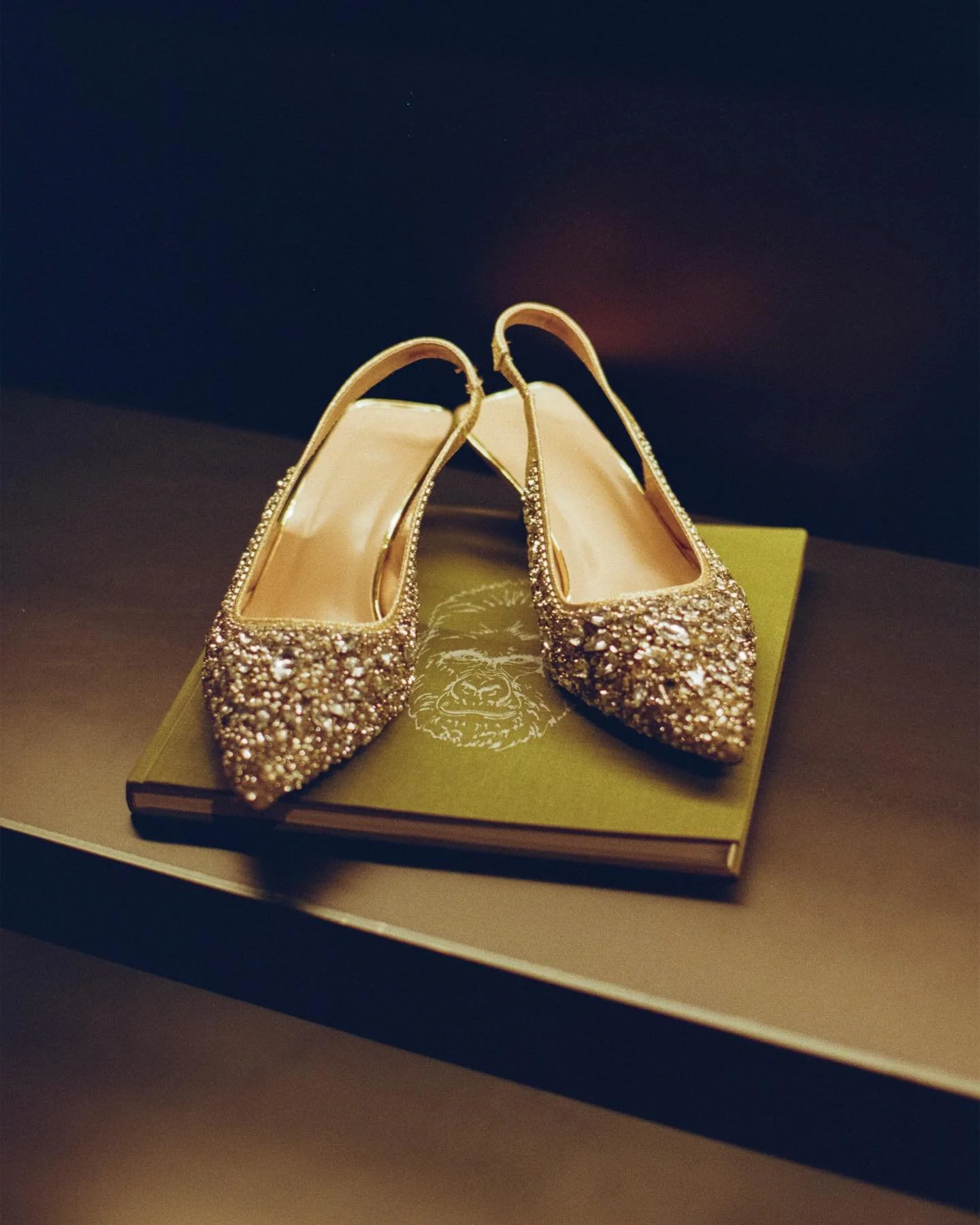 From the Moonlit archives 𖤓
Moments &amp; details, 2023-2025 

#analogweddingphotography #filmweddingphotographer