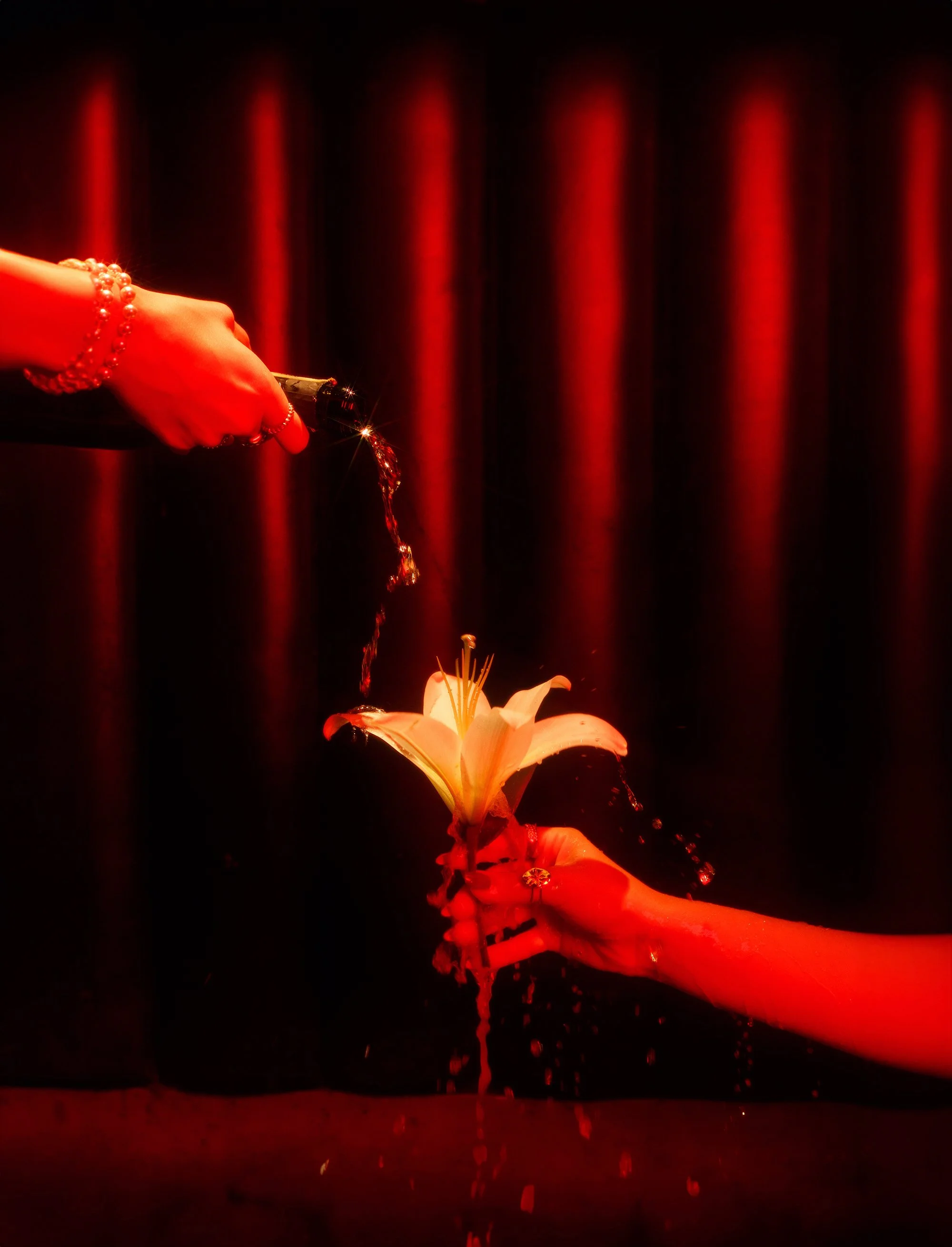 DOJO2_BiankaCsenki_3778 PS 2.jpg