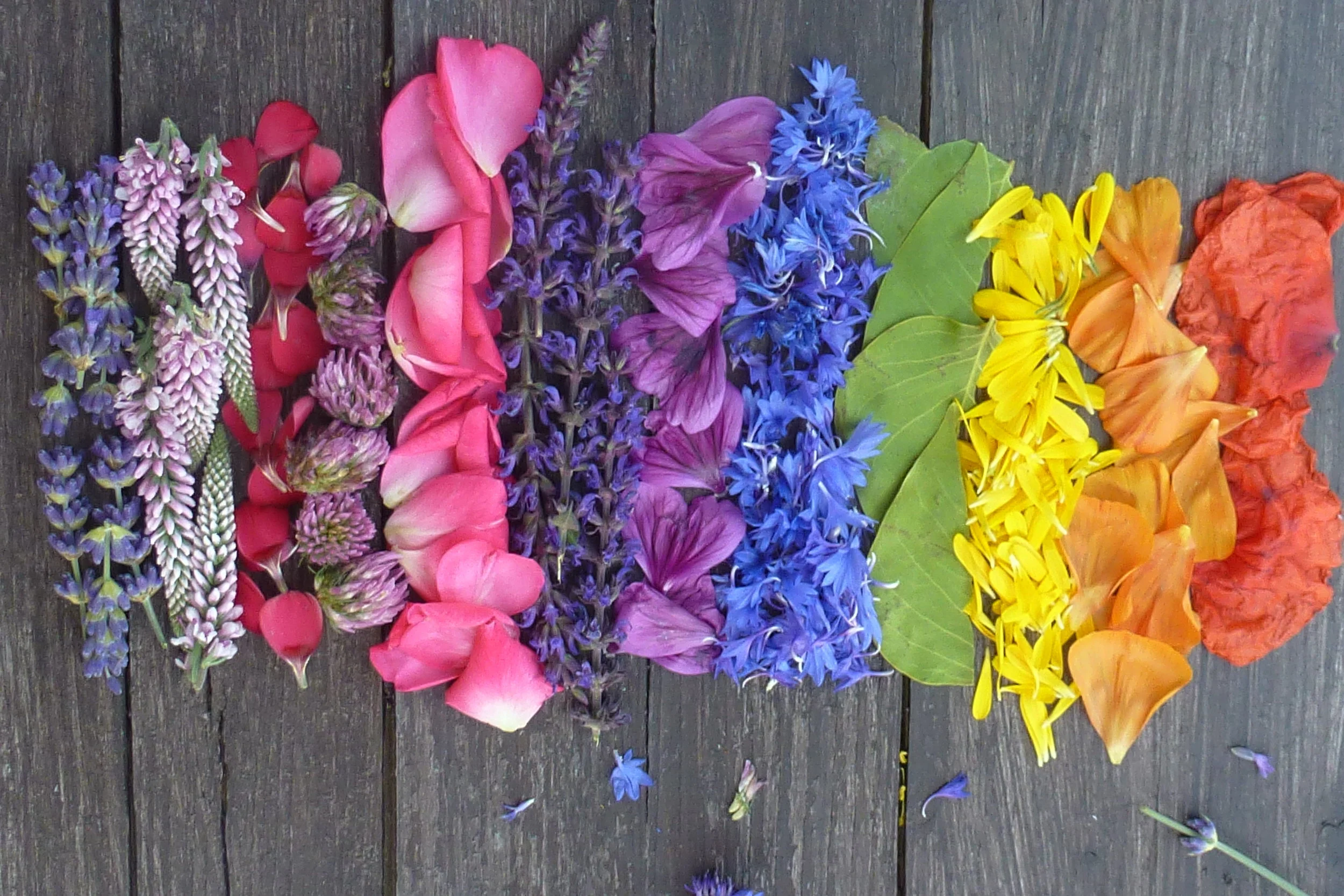 Schaffhauser Landfrauen