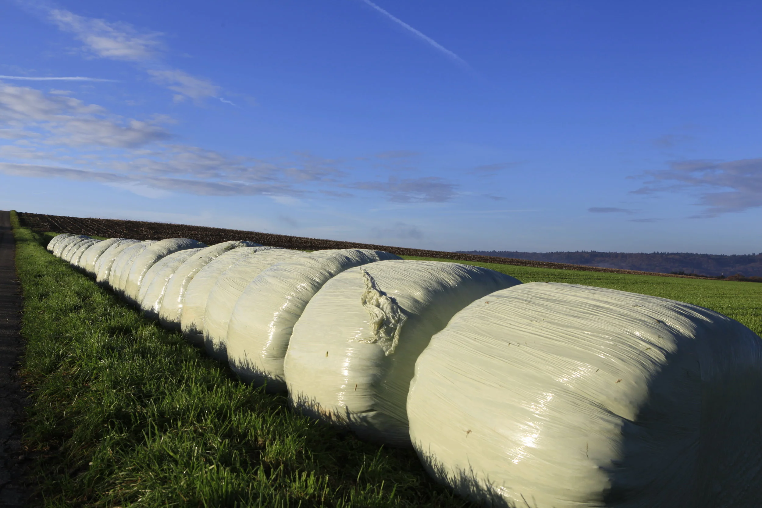 MBR Agro AG