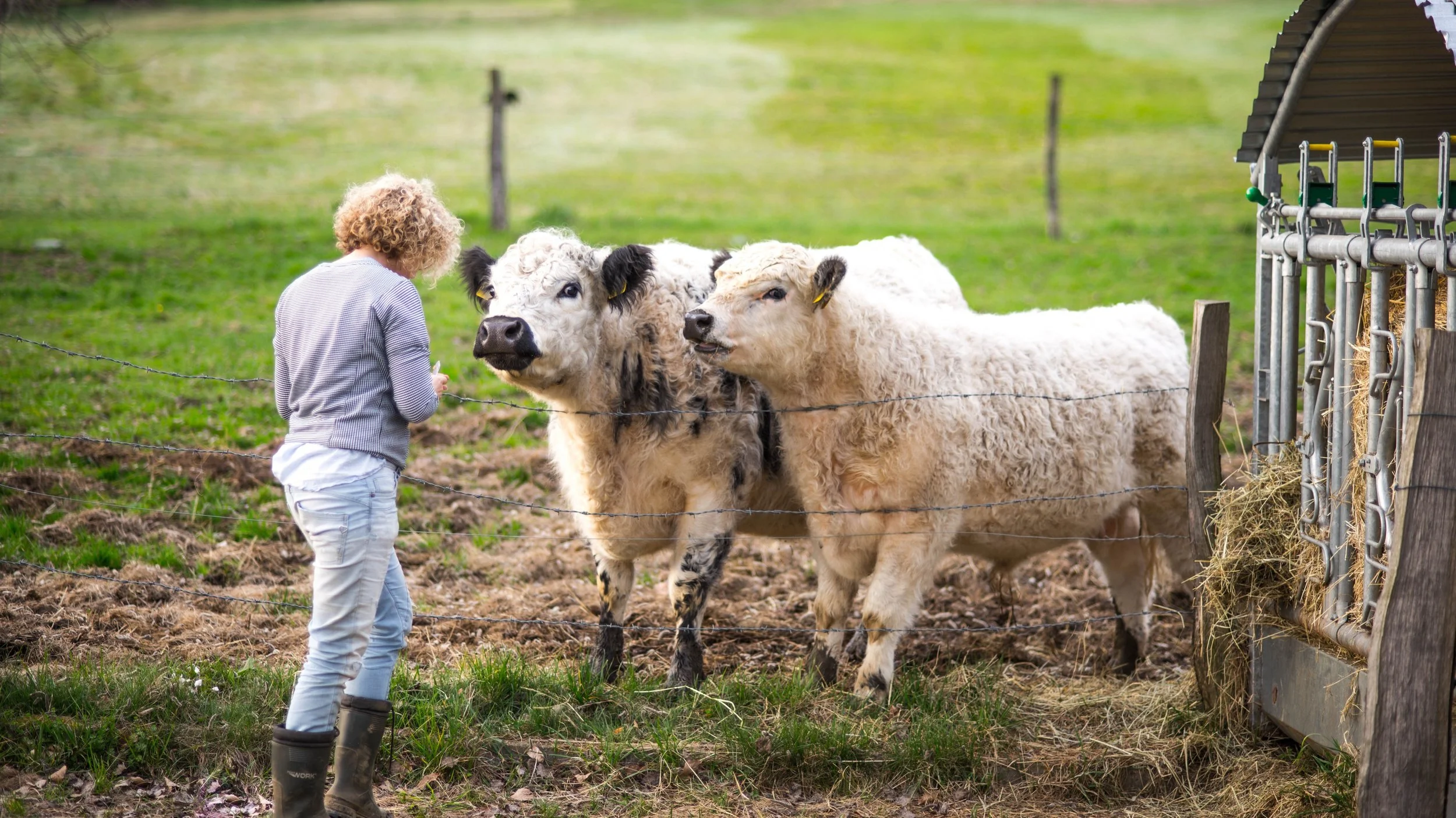 Es ist das UNO-Jahr der Landwirtinnen! 