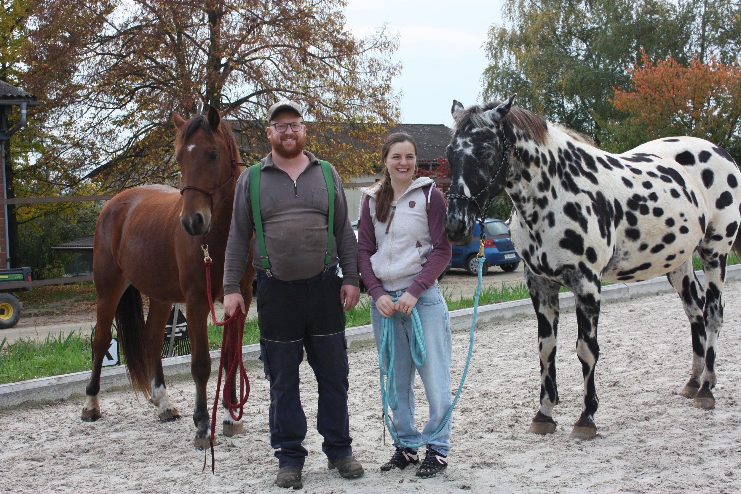 Pferdewohl mit Siegel