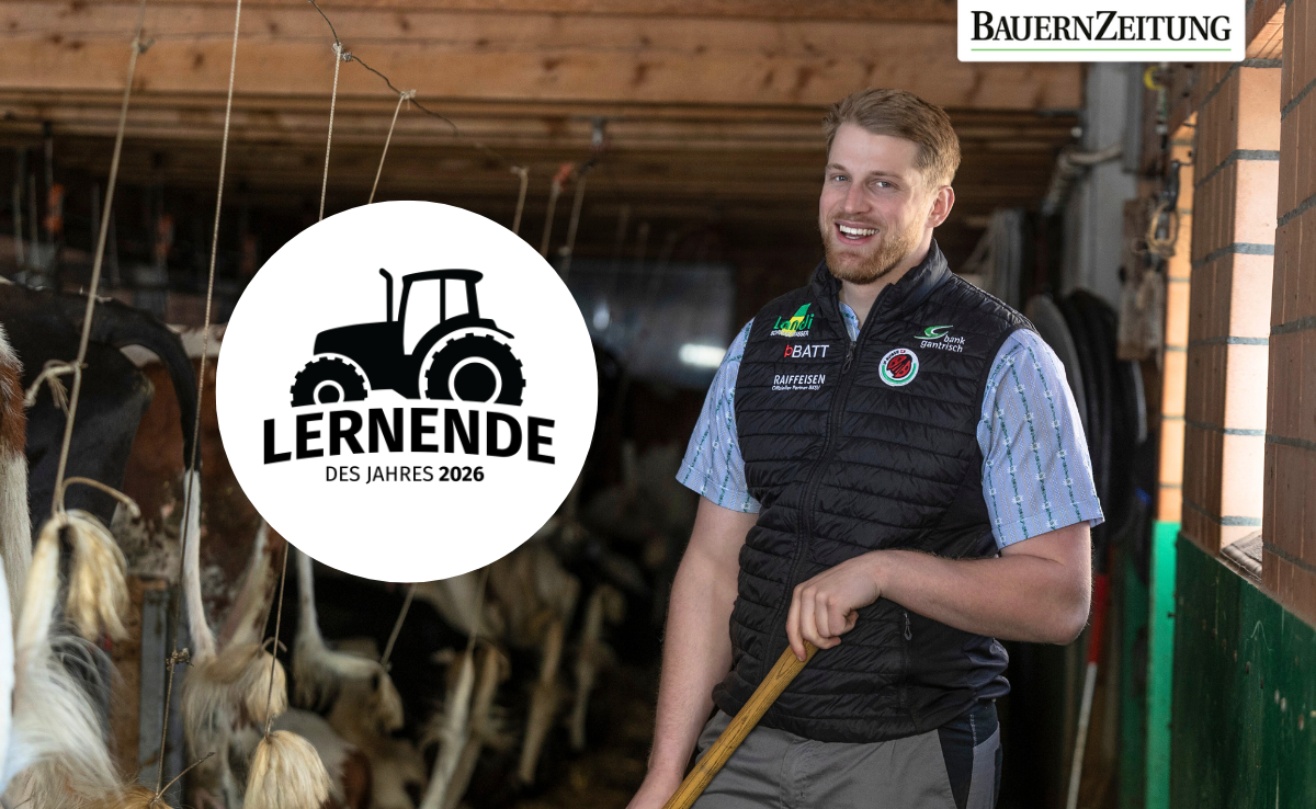 Lernende des Jahres gesucht