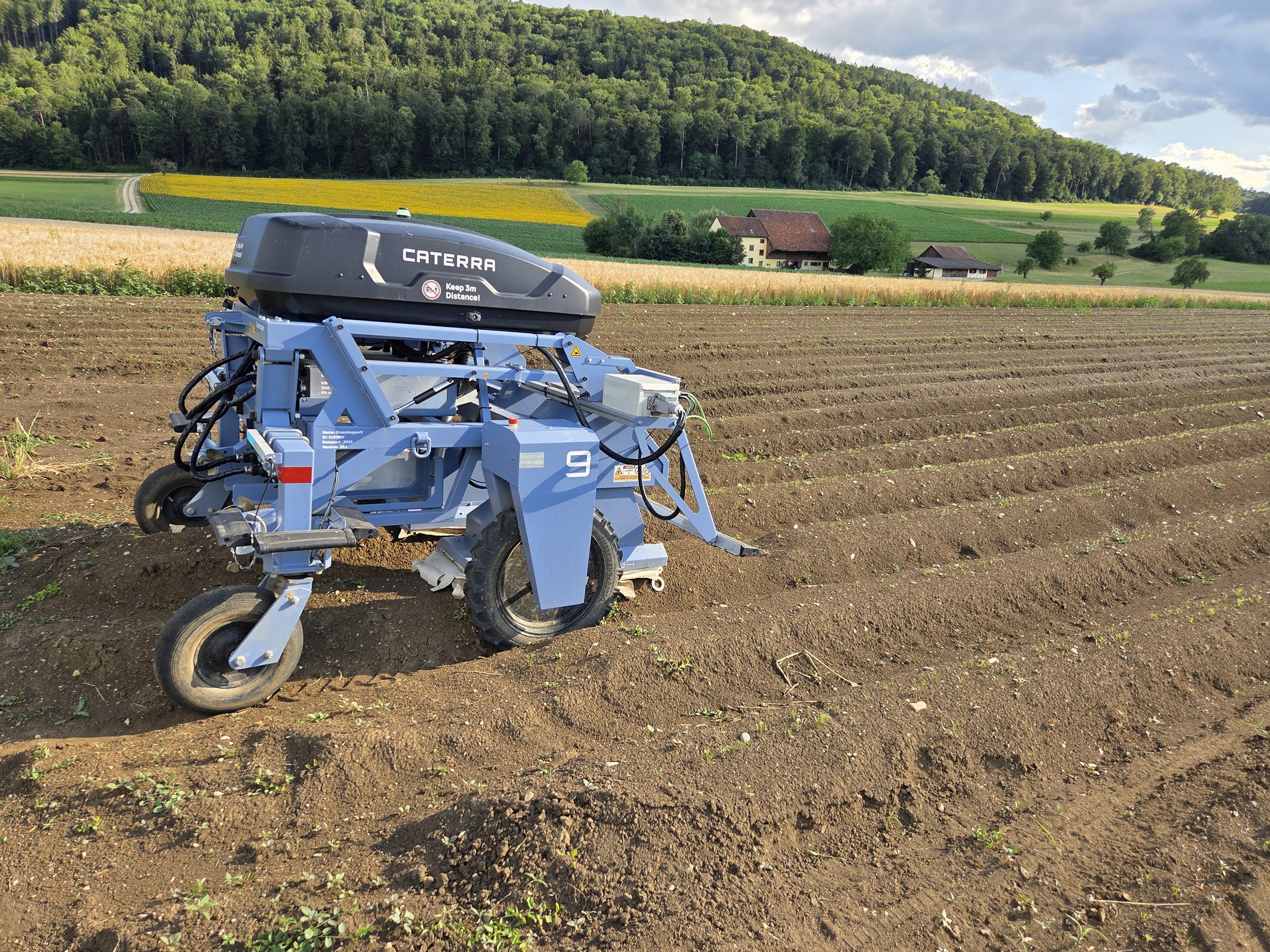 Laserroboter im Gemüsebau