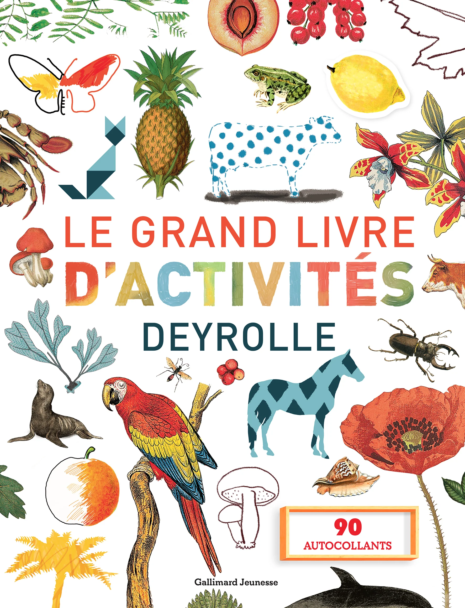 Grandlivre activité_Deyrolle.jpg