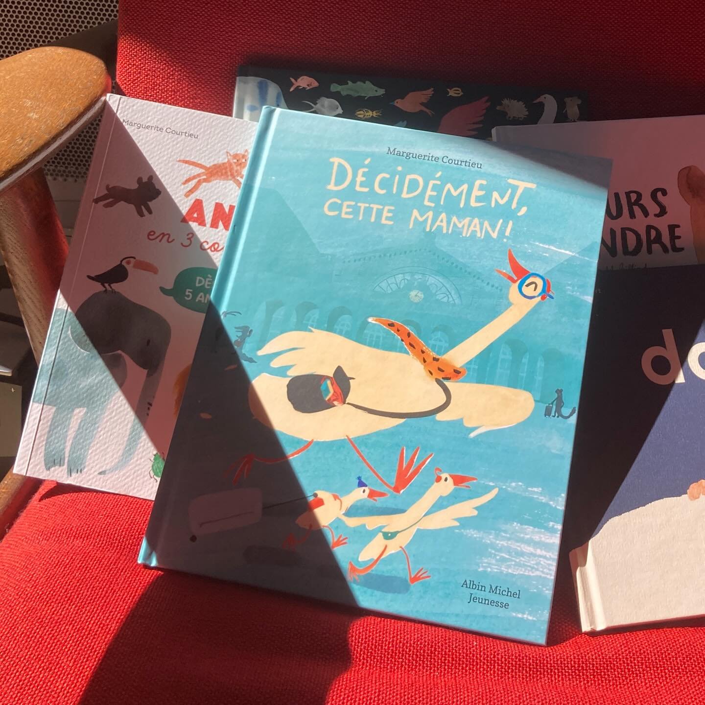 Il para&icirc;t qu&rsquo;on fait plus de publication sur insta 😅 tant pis! En voil&agrave; une quand m&ecirc;me! avec mes livres, mon dernier : D&eacute;cid&eacute;ment!, le soleil, un mercredi apr&egrave;s midi avec les enfants, une toile cir&eacut