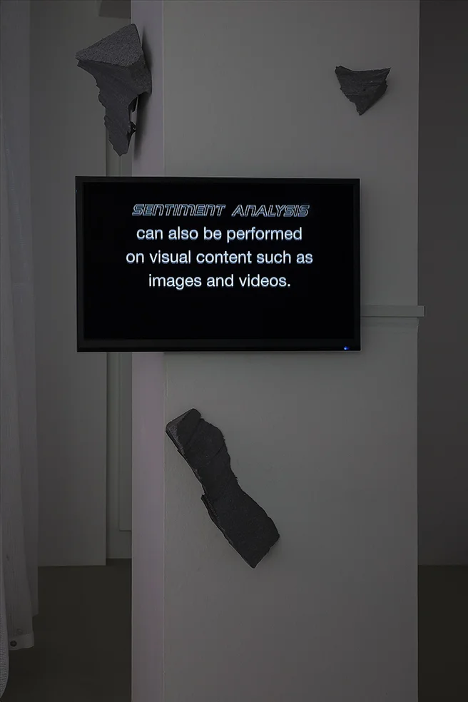 Marija Bozinovska Jones, techSent® , 2016, detail shot