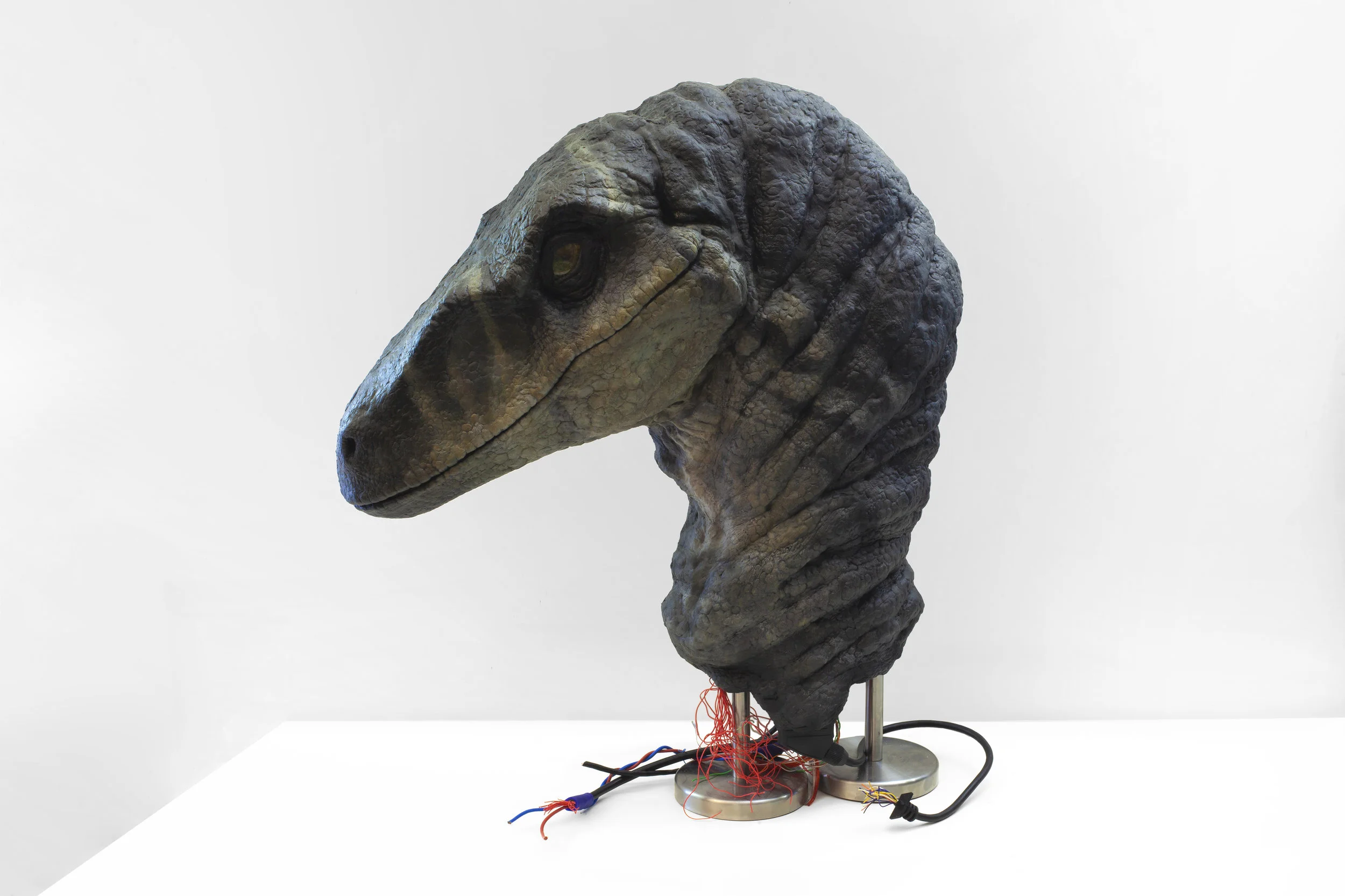 Michele Gabriele, It’s always so hard to admit that things are different than what we had believed at first sight , Paint, epoxy clay, steel, cables, digital print, glass, rubber, 2019