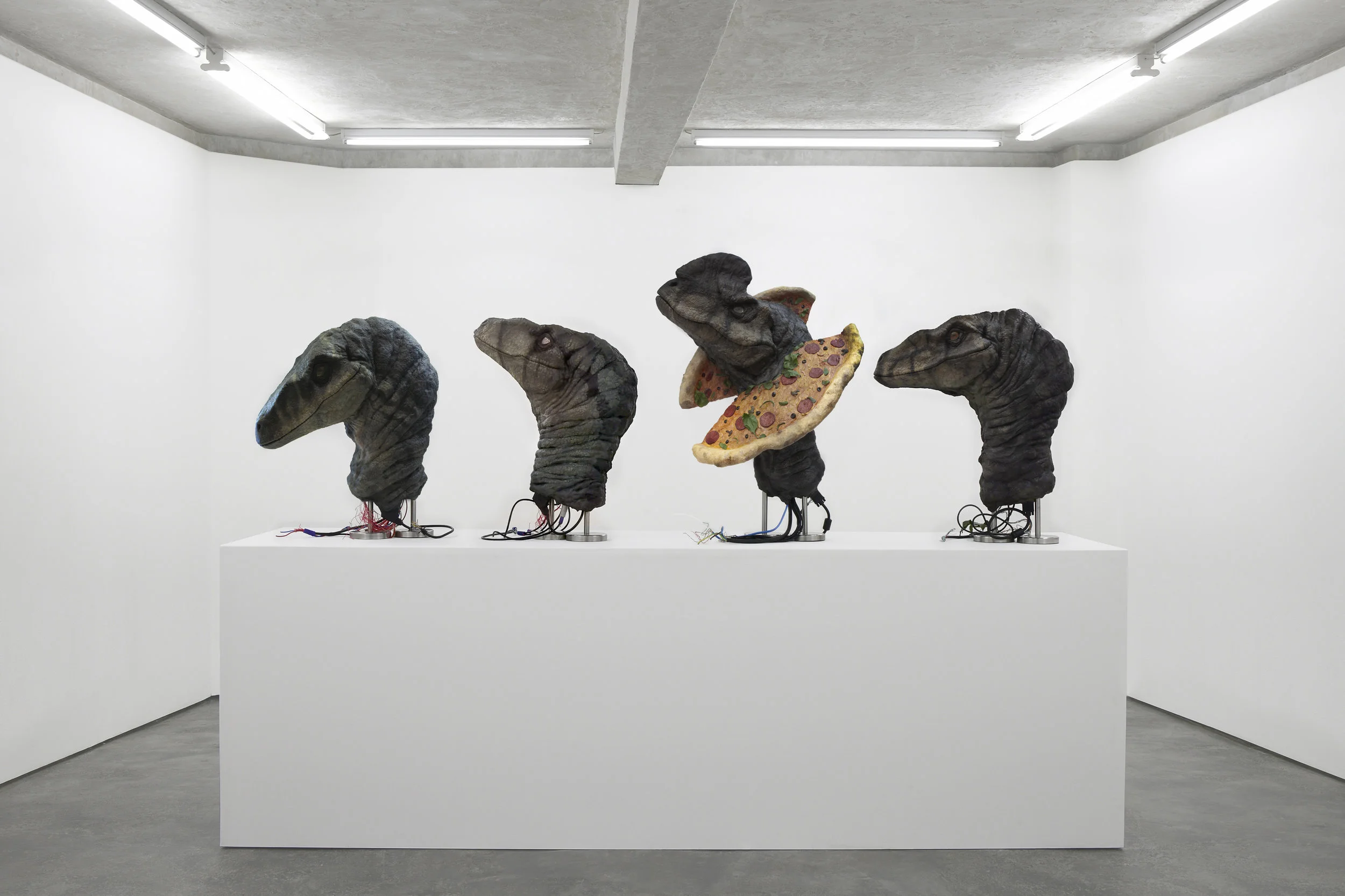 Tangled Depictions , Installation View