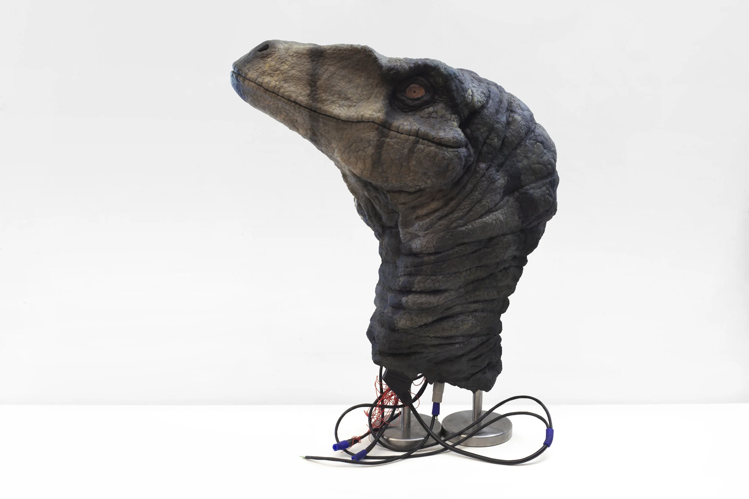 Michele Gabriele, It’s always so hard to admit that things are different than what we had believed at first sight , Paint, epoxy clay, steel, cables, digital print, glass, rubber, 2019