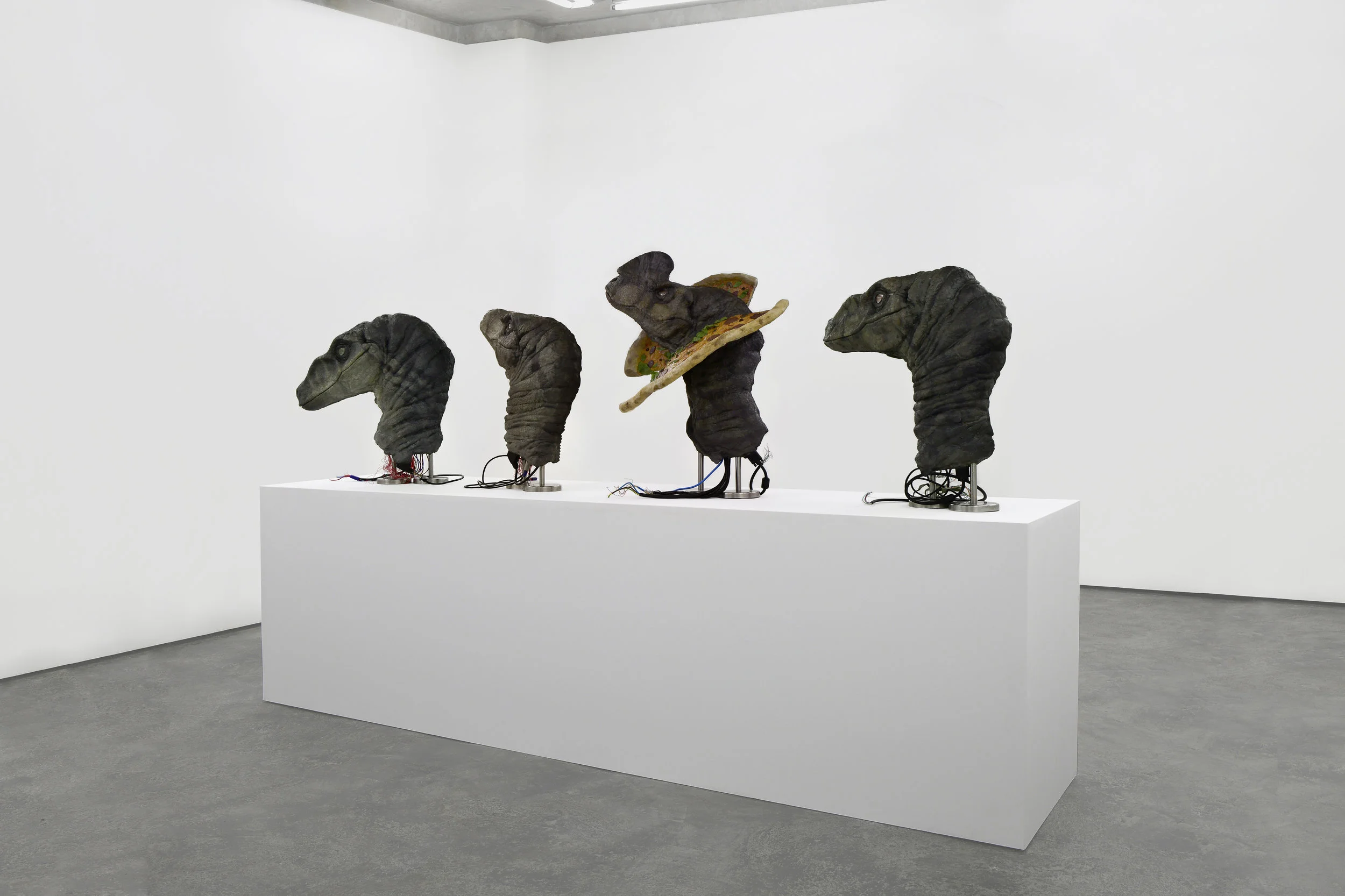 Tangled Depictions , Installation View