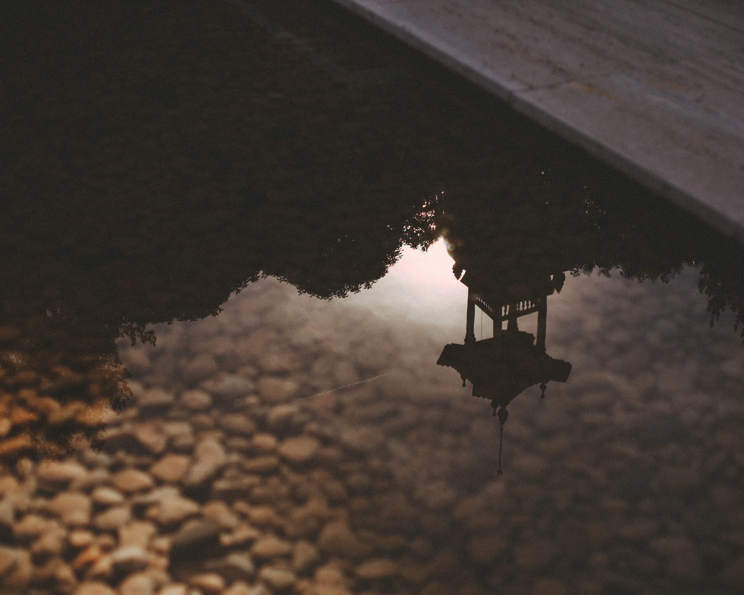 026A2529.jpg
