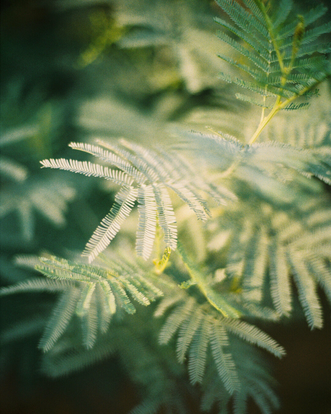 Ferran Tudela-12.JPEG