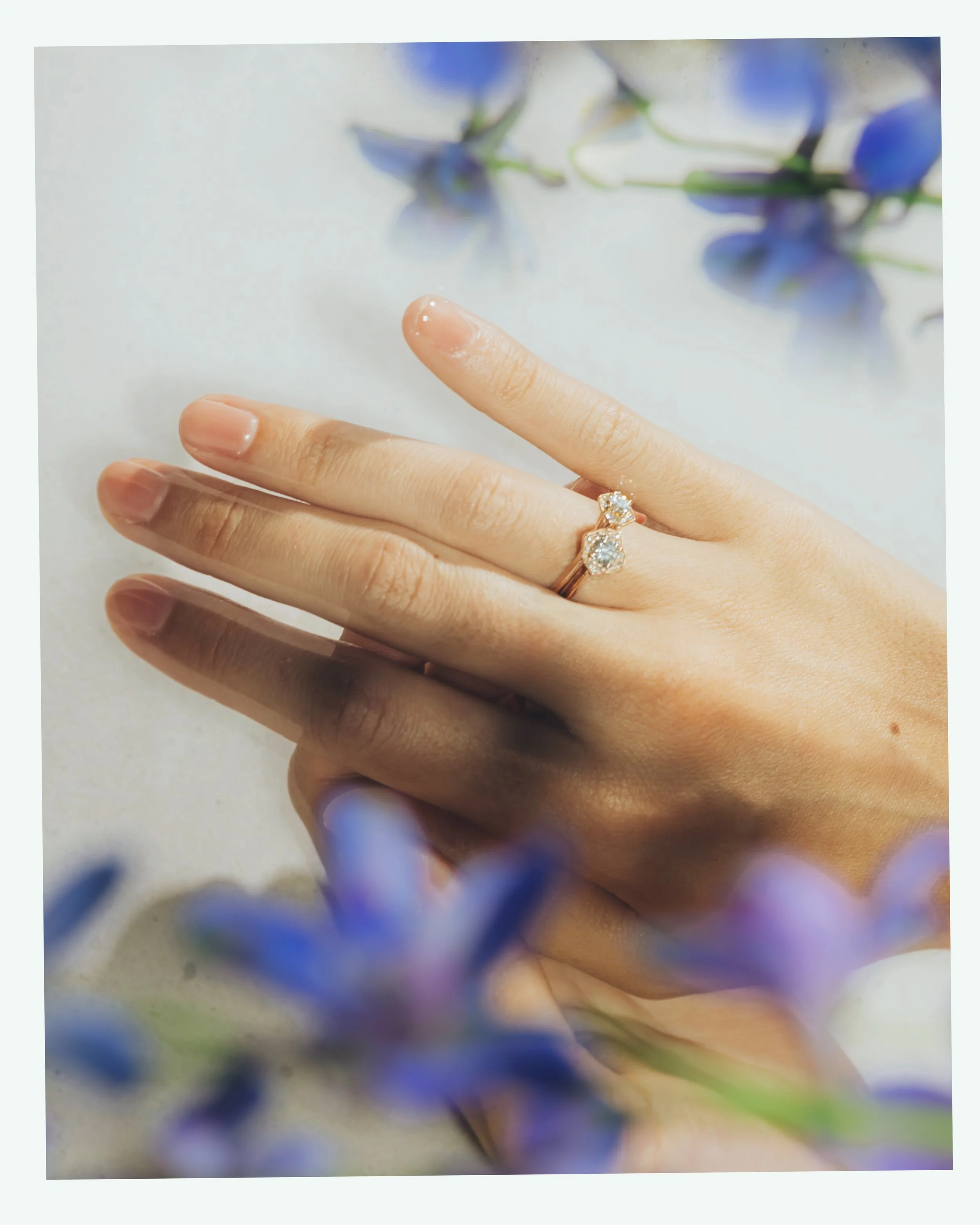 Roosik x Colette1.jpg