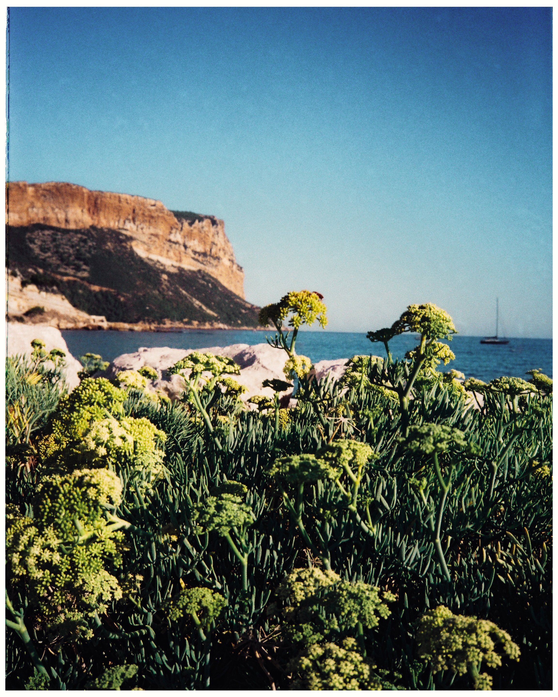 Cassis postcard 1.jpg