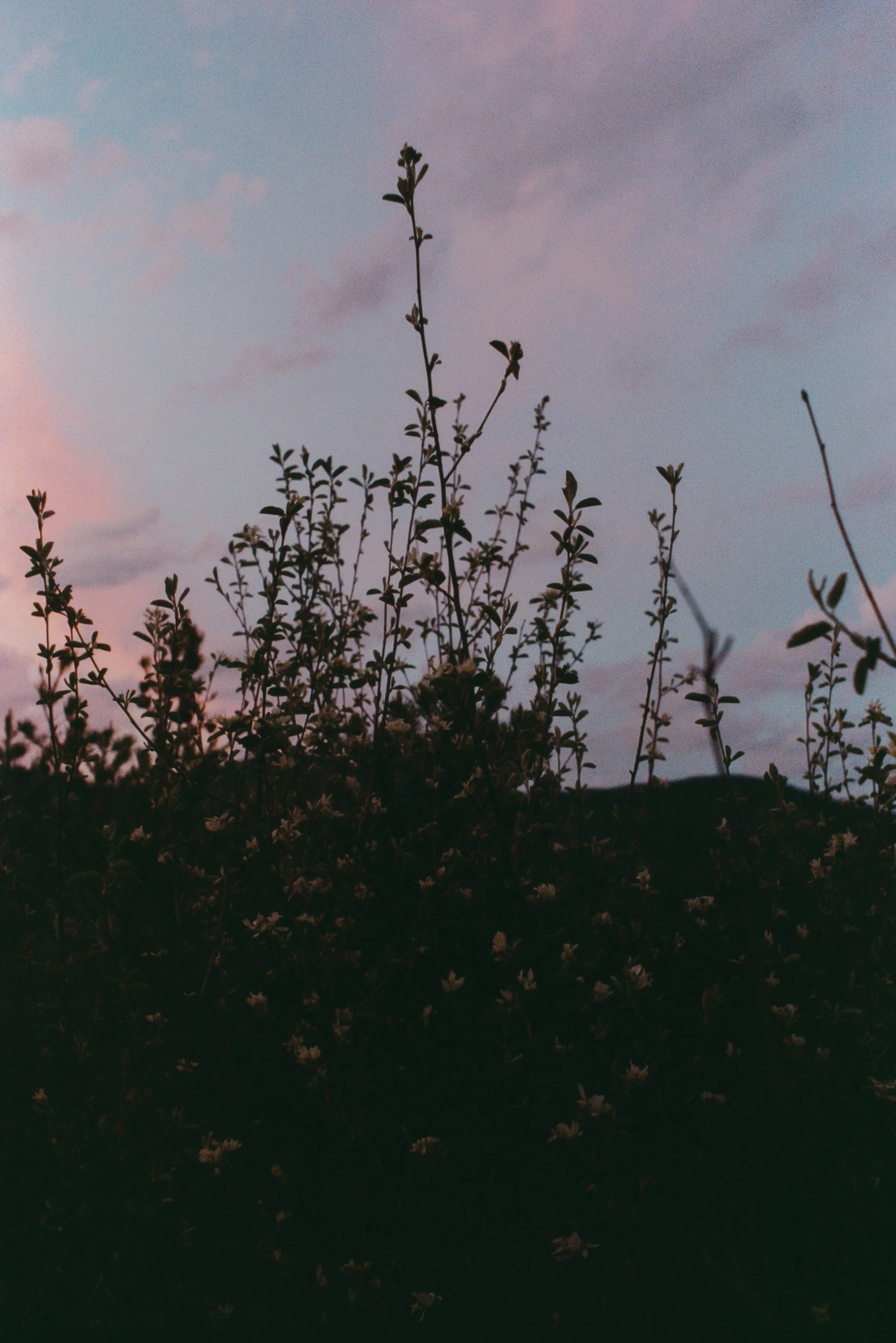 24_04_2026_0070.jpeg