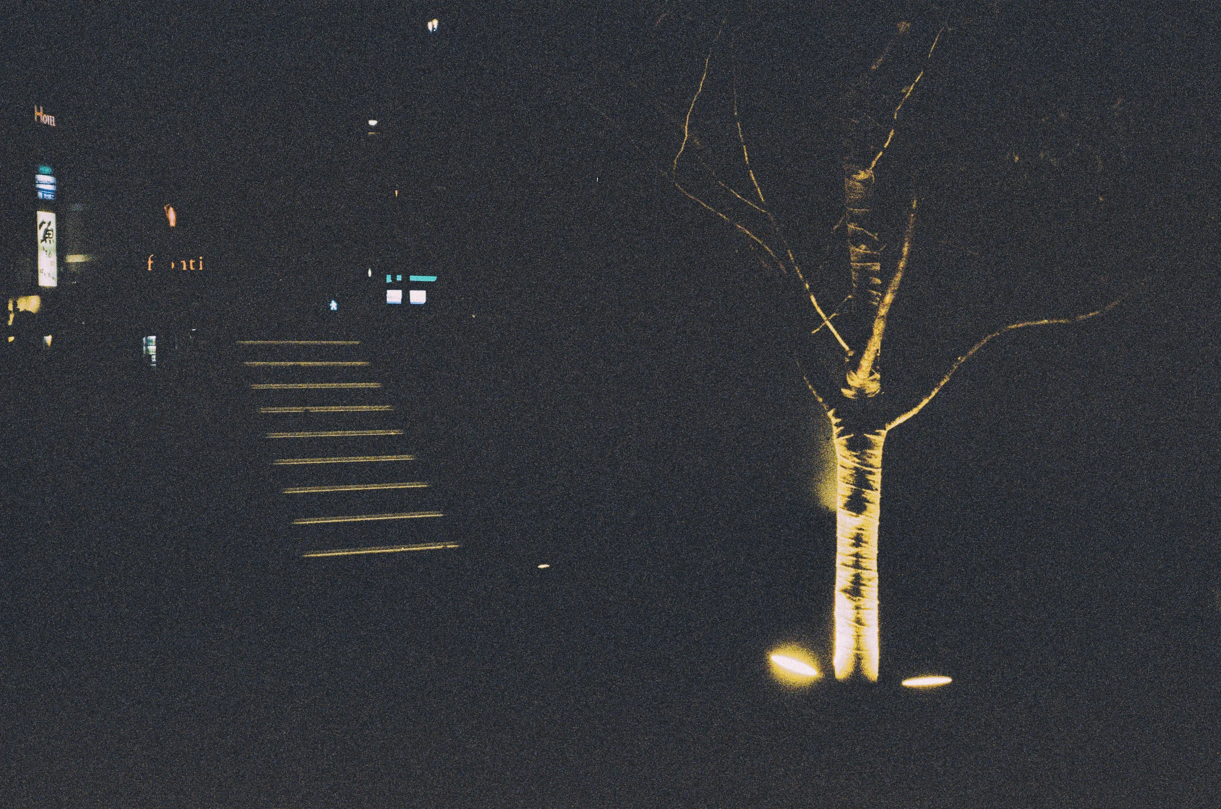 2003-23.jpg