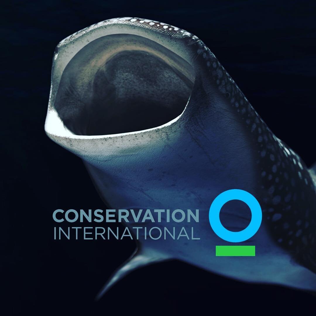 Those wonderful people at @conservationorg &amp; @3d_vision3 approached us to help with their new social virtual-reality experience &ldquo;Drop in The Ocean&rdquo;. Narrated by @pcousteau &amp; @ashlancousteau.

Given the importance of the music, we 