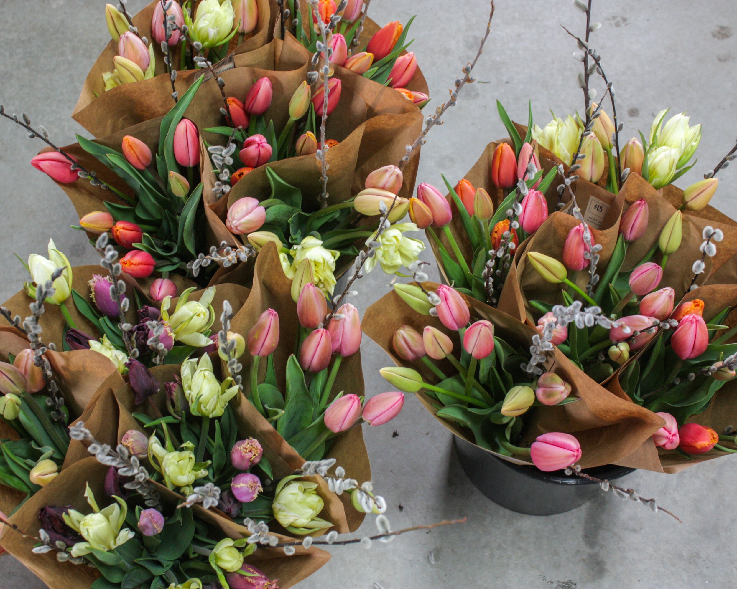 market tulips.jpg
