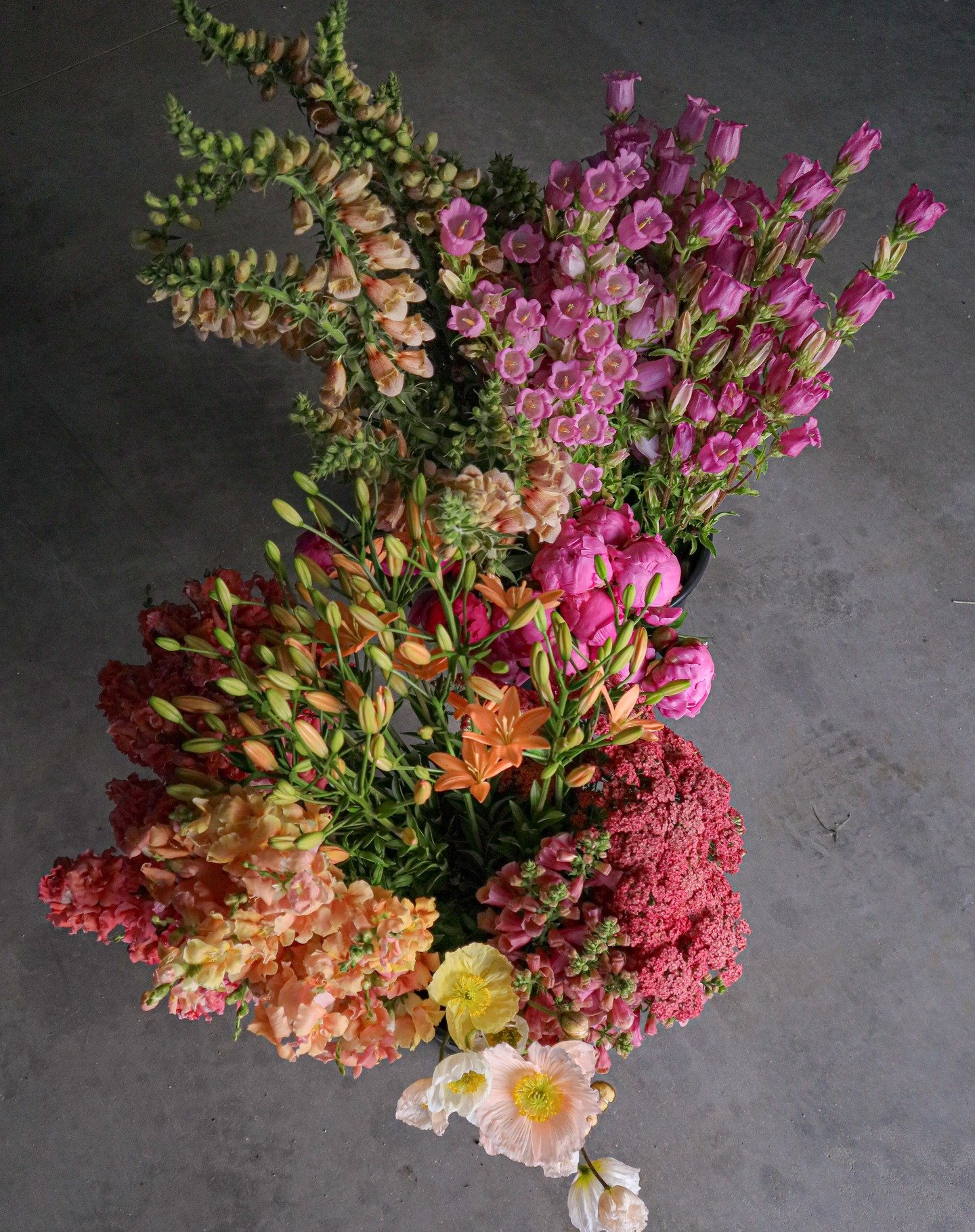 Late June Loveliness