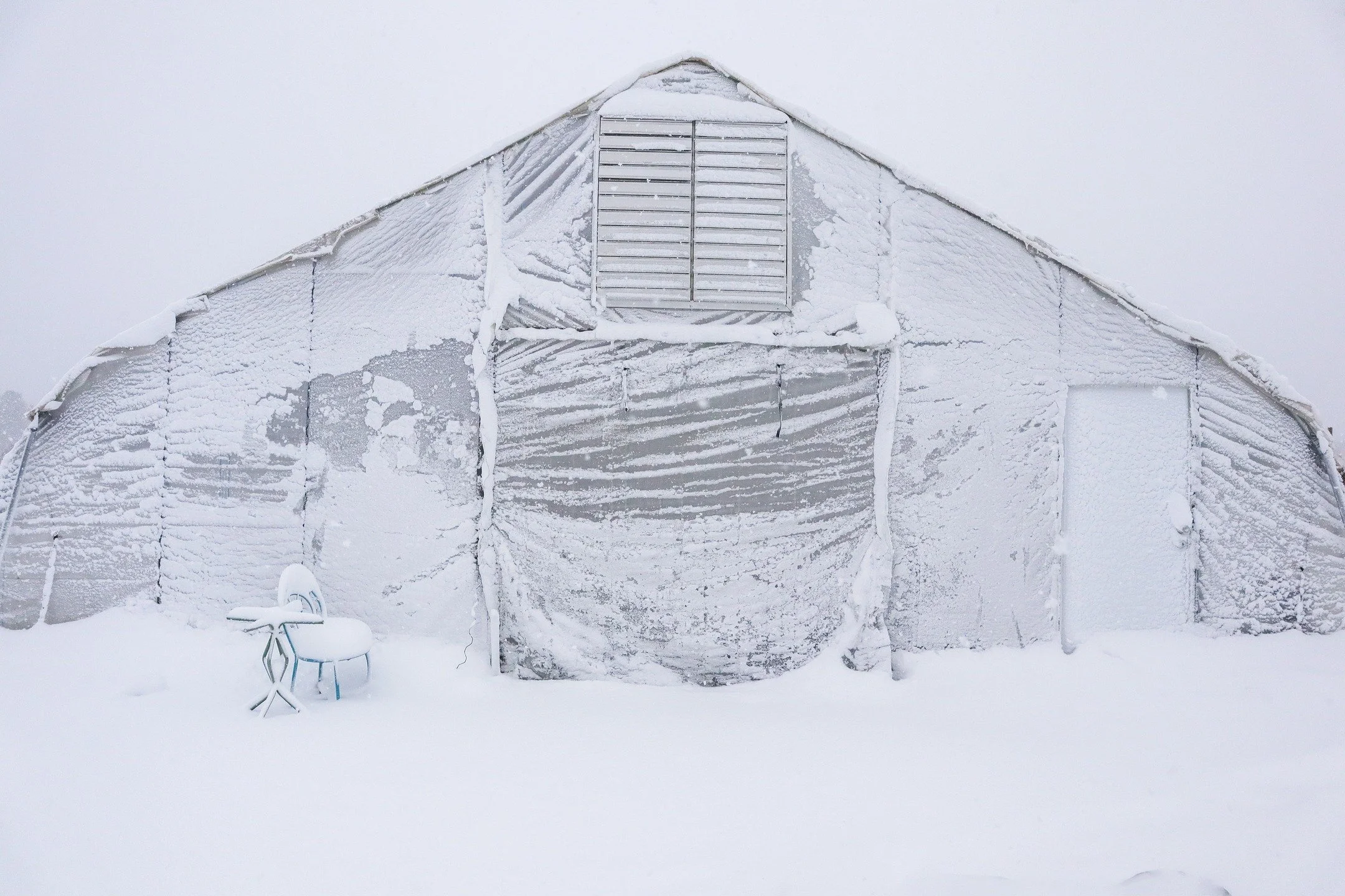 The first snow of the season found us! We went from green grass to accumulation in the matter of a couple hours. Enter the joy of having a protected growing area - I listened to the wind howl and the snow hit the plastic as I worked on planting and p