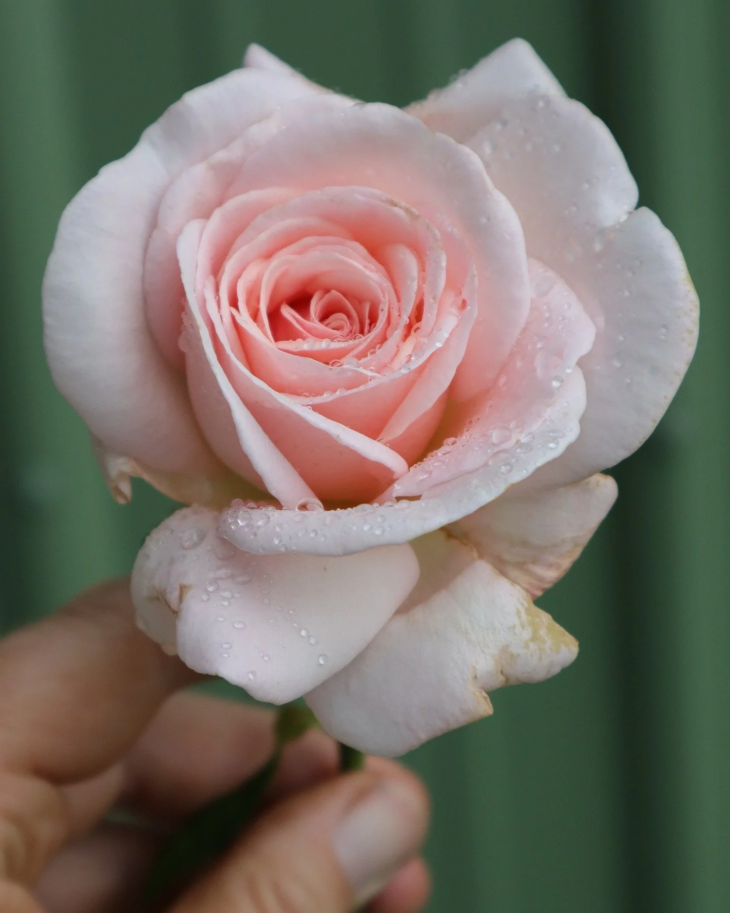 I haven't forgotten.