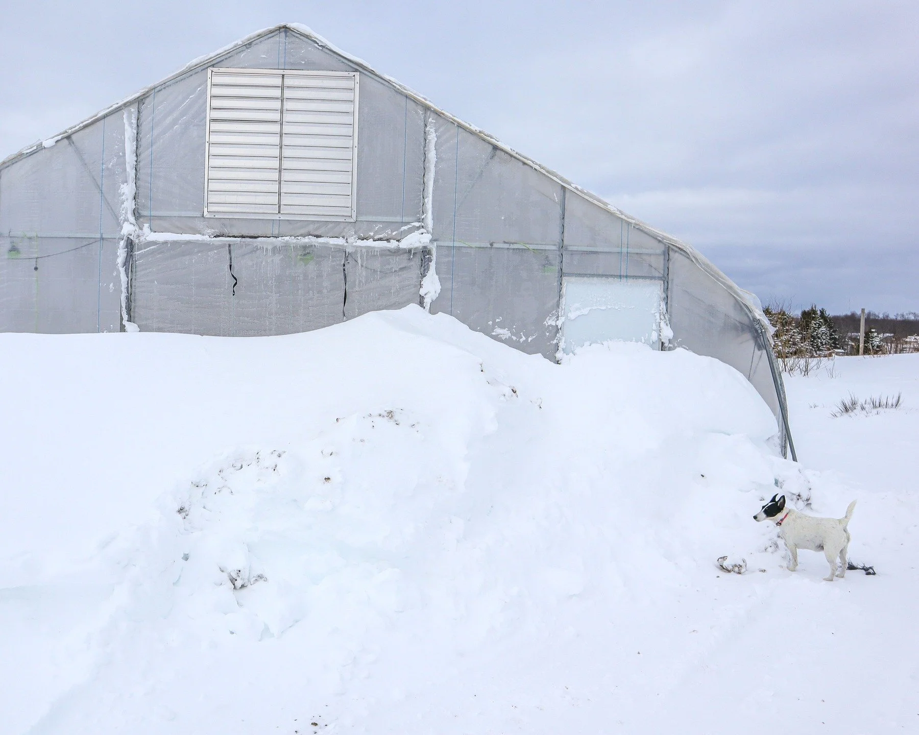 It seems impossible that just 4 days ago there wasn't a single flake of snow on the ground and it was nearly 60 degrees. We still have a bit of digging out to do in the wake of the massive winter storm that just hit northern Michigan this weekend, bu