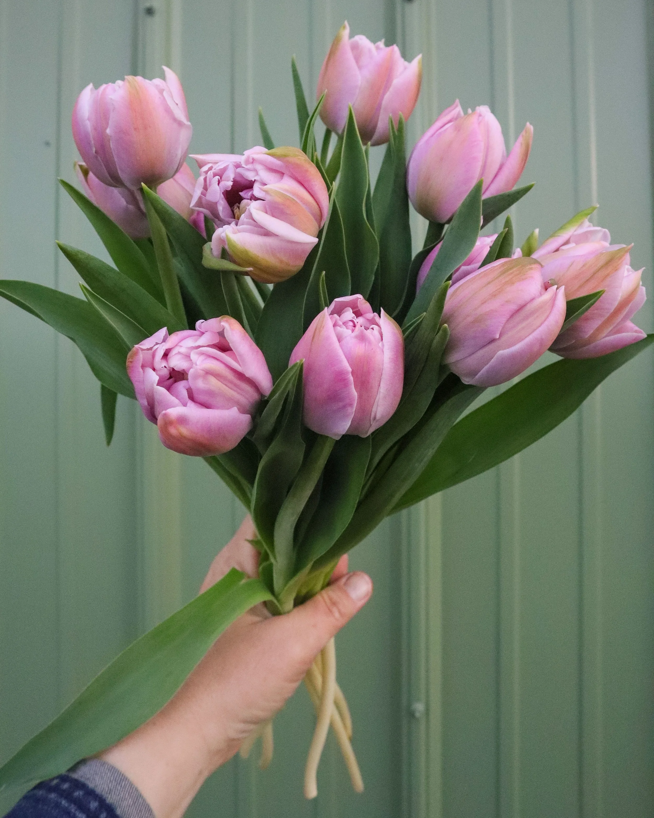 With a very humble heart - THANK YOU for choosing Lucky Clover Flowers for all the moms and mother figures in your lives. Happy Mother's Day!