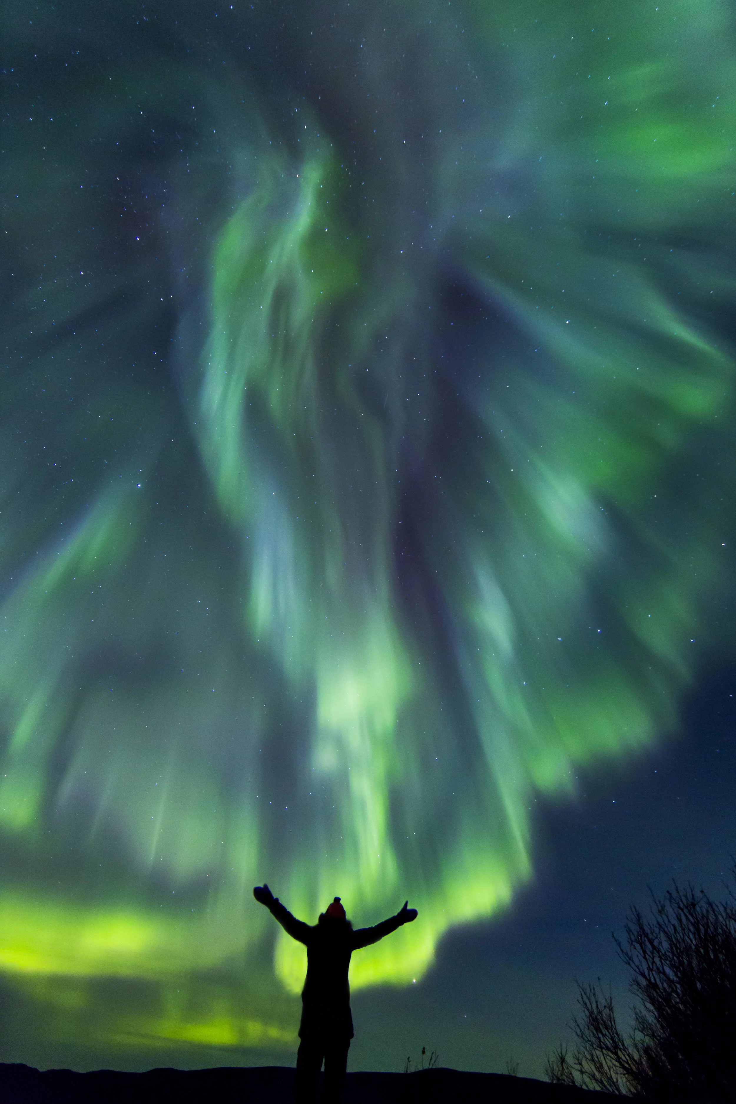 Stående — 017.JPG