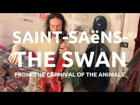 Saint-Saëns - The Swan - arranged for 4 cellos