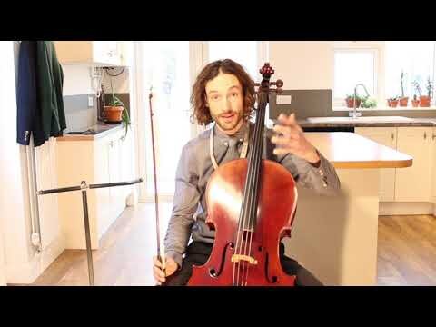Introducing the Cello