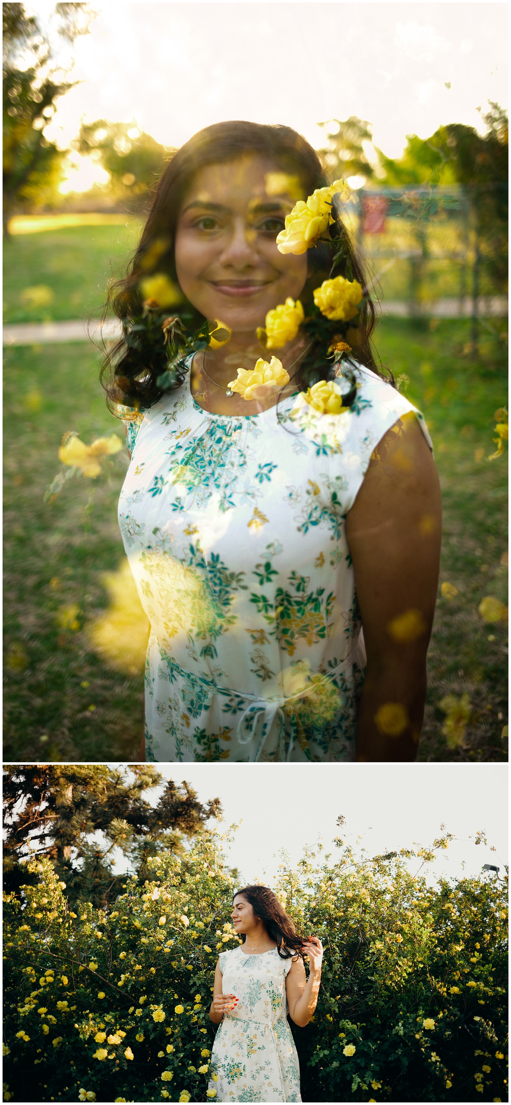 yellow flower portraits