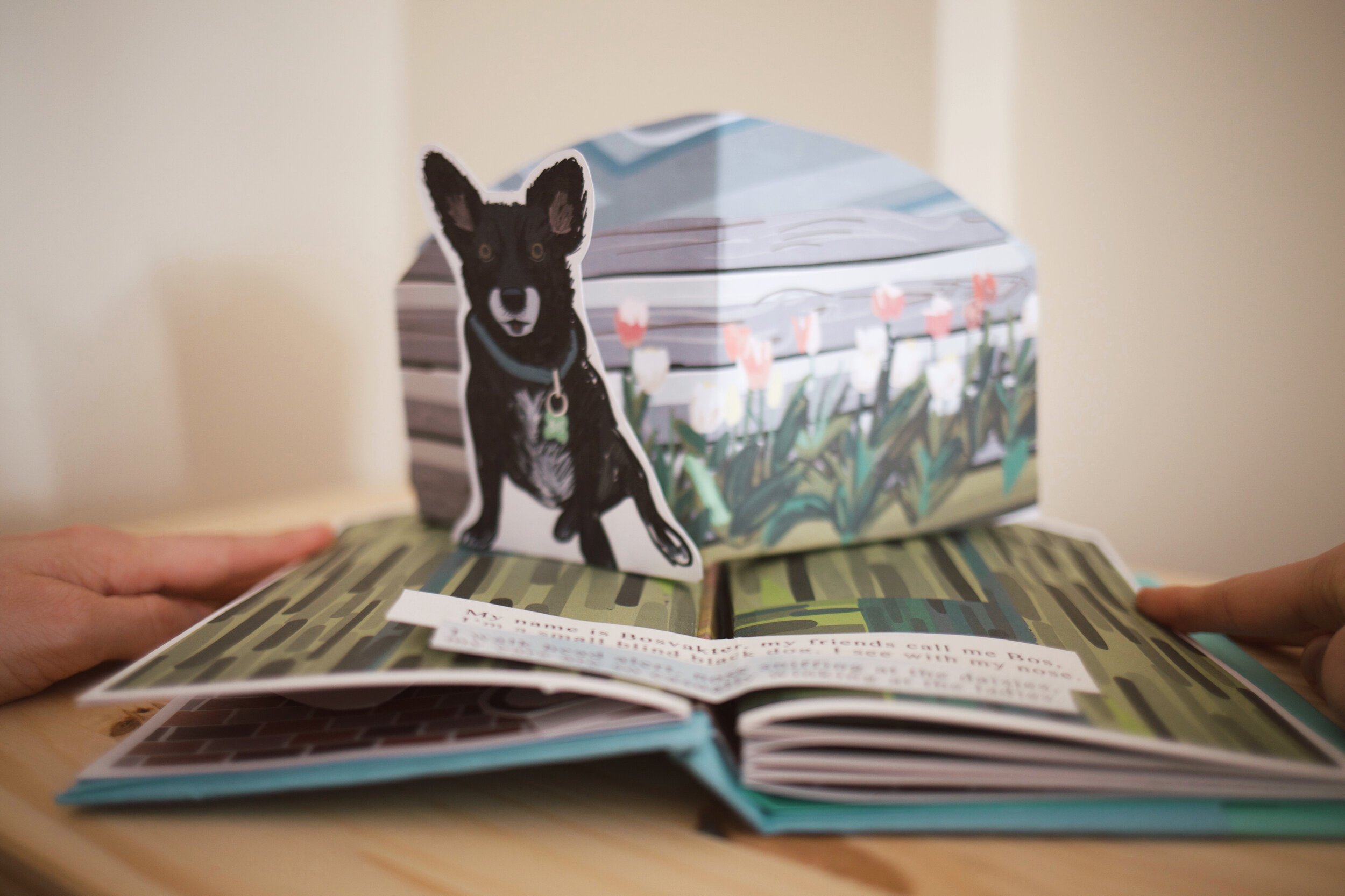 A custom children's book about Your Pet