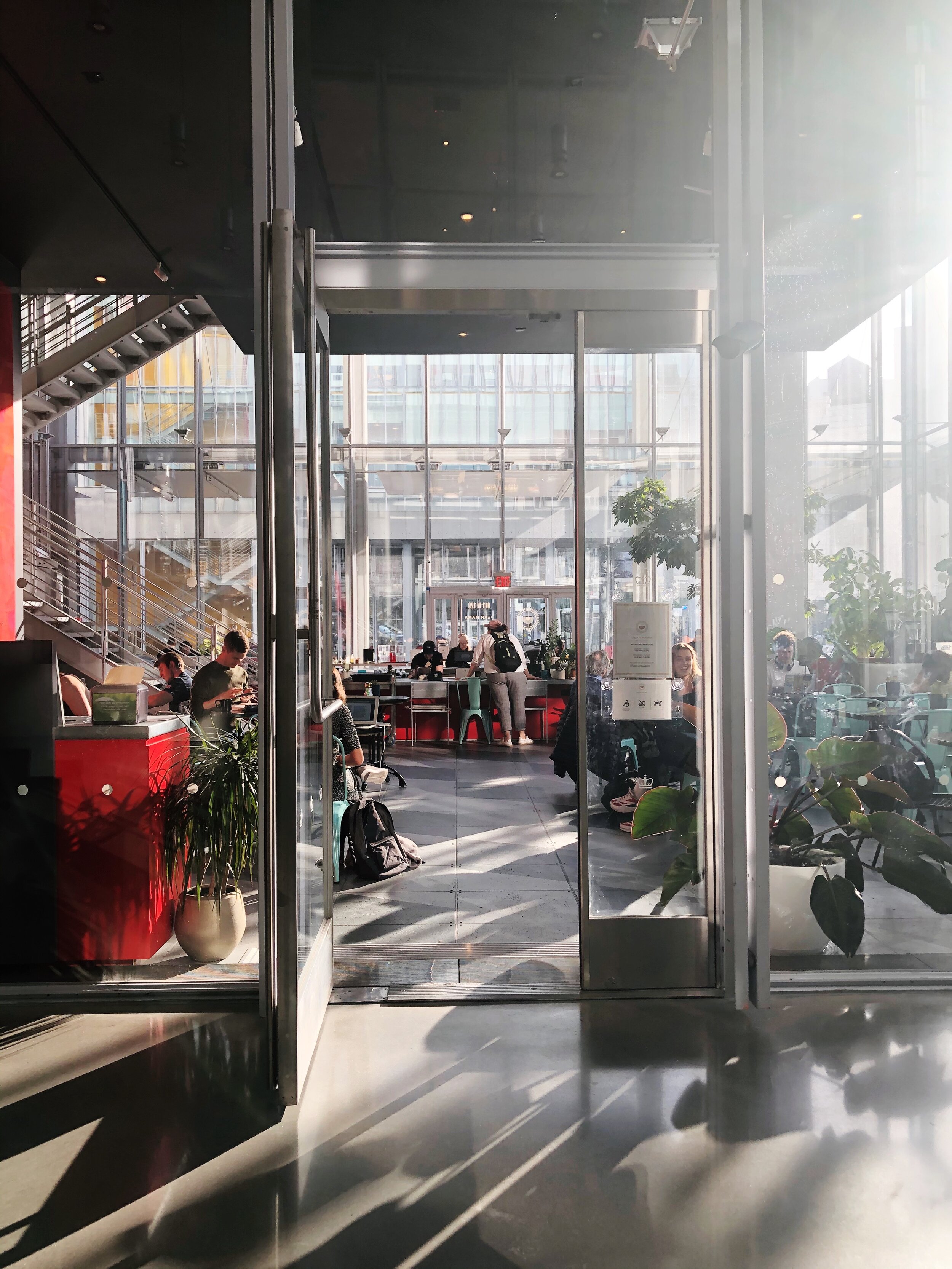 Dear Mama Coffee Shop on Colombia's Campus is literally growing trees inside. This glass encased coffee shop is bright, light-filled, and totally a spot I'll be frequenting more often.